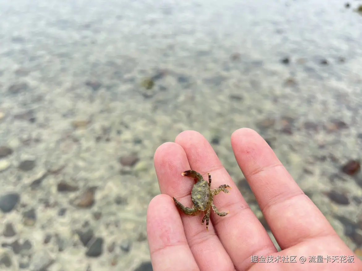 流量卡天花板于2025-12-02 09:55发布的图片