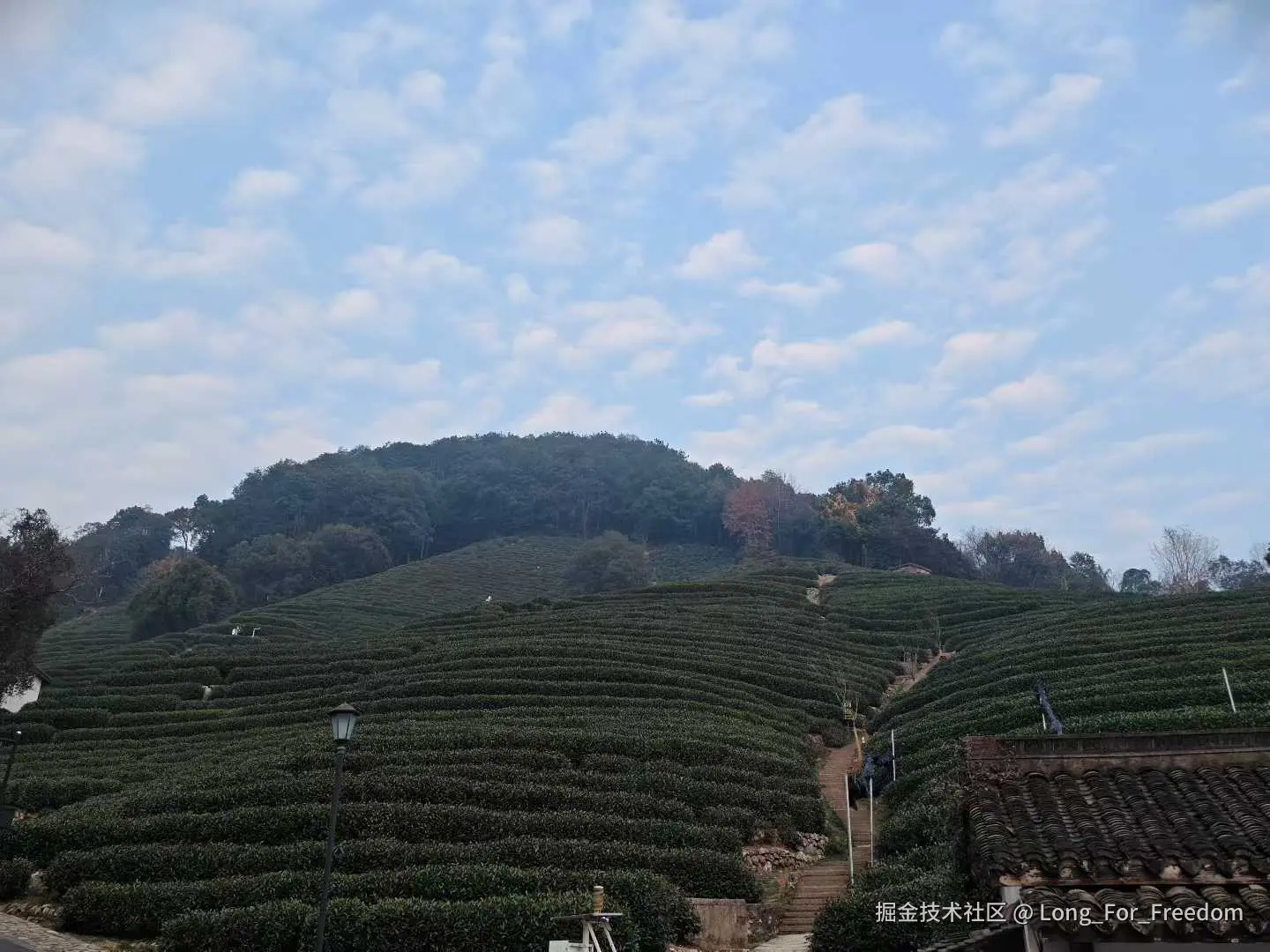 Long_For_Freedom于2026-01-19 10:22发布的图片