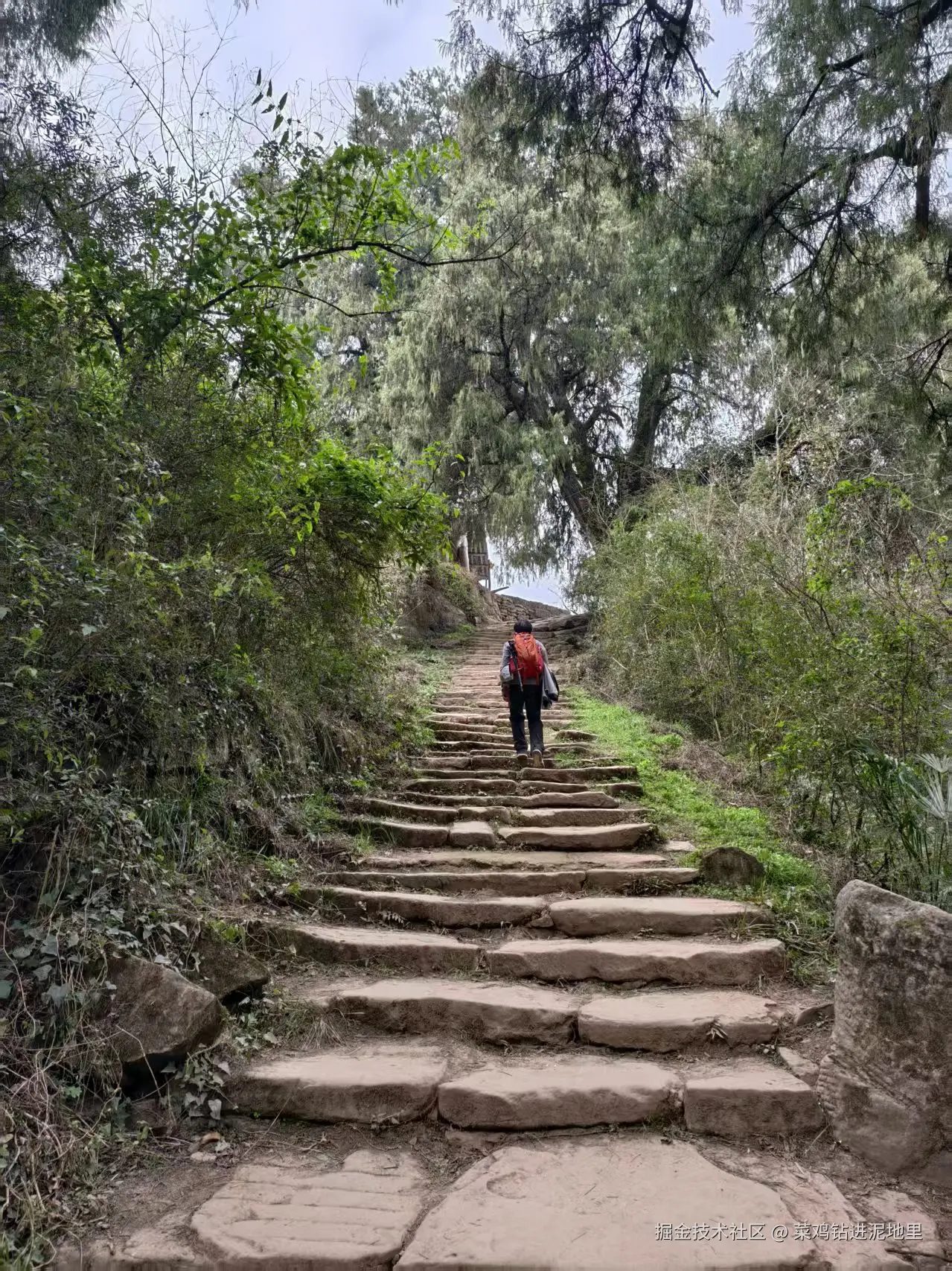 菜鸡钻进泥地里于2026-02-02 09:29发布的图片