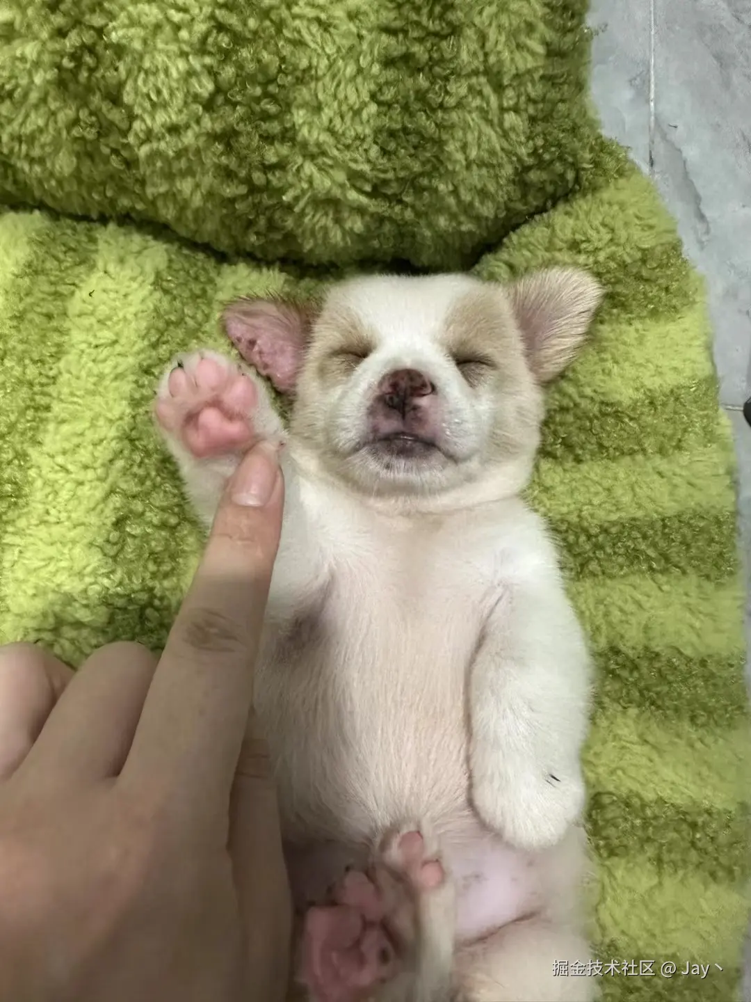 Jay丶于2024-10-14 10:01发布的图片