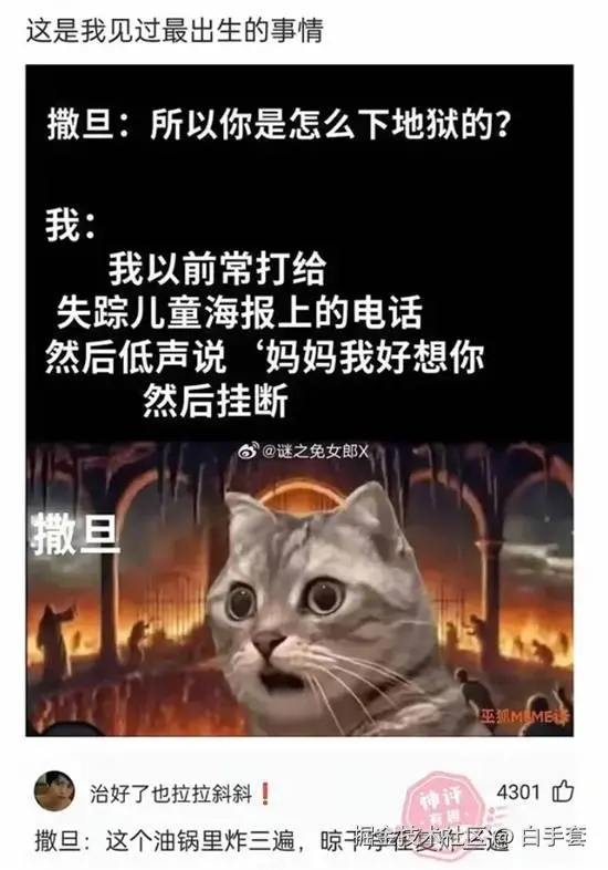 白手套于2025-11-05 08:57发布的图片