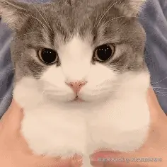 风吹屁屁咻咻咻于2026-03-19 09:08发布的图片