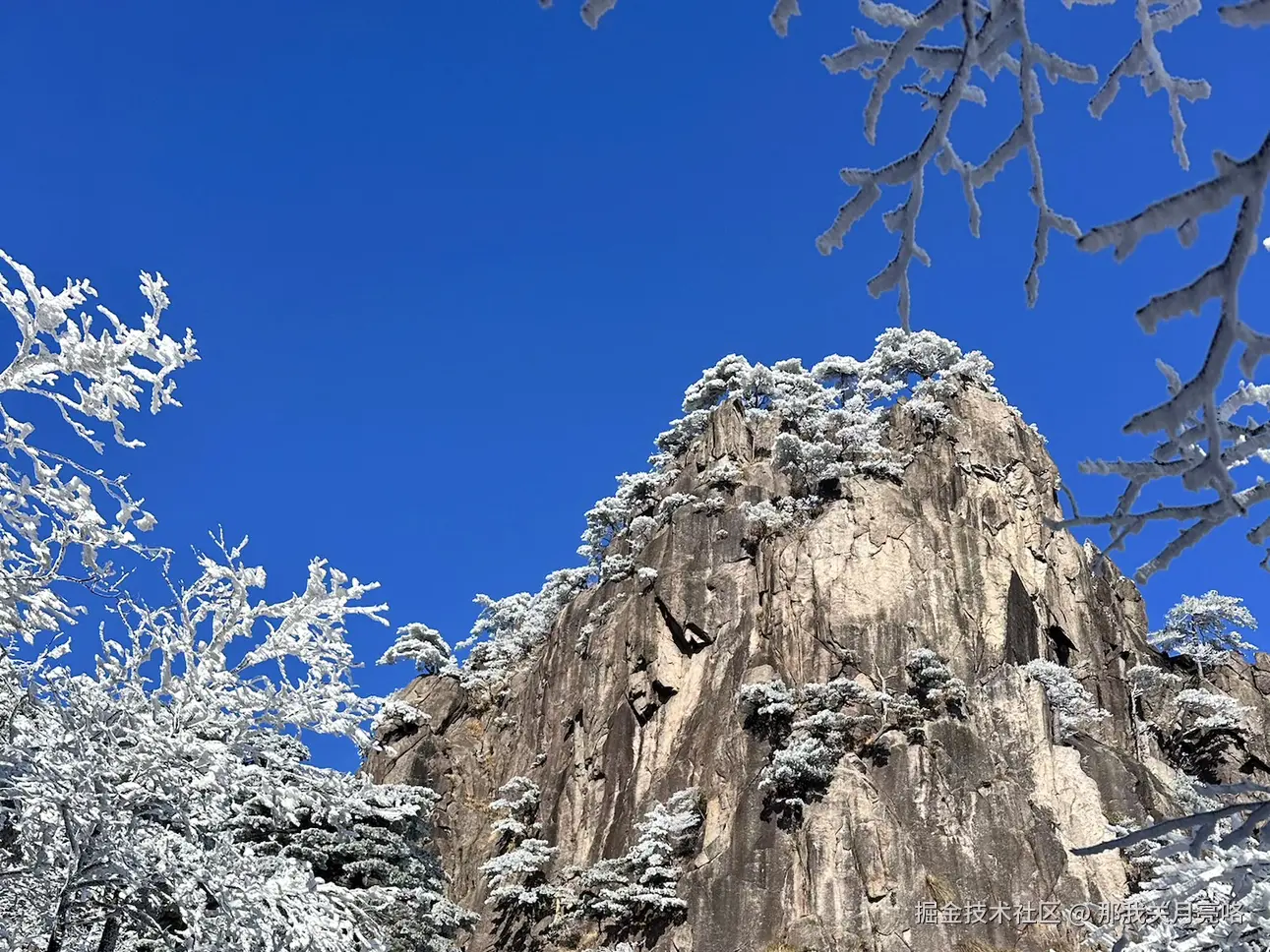 那我关月亮咯于2024-12-19 17:05发布的图片