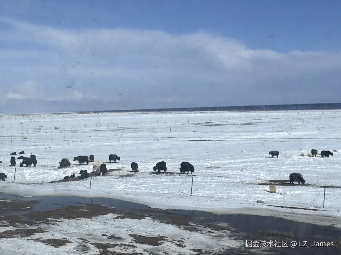 LZ_James于2025-04-27 17:29发布的图片