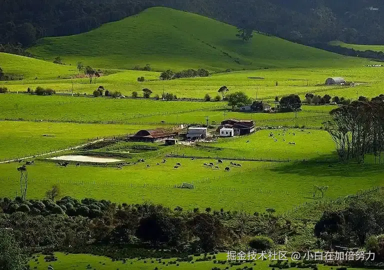 vue个人学习心得