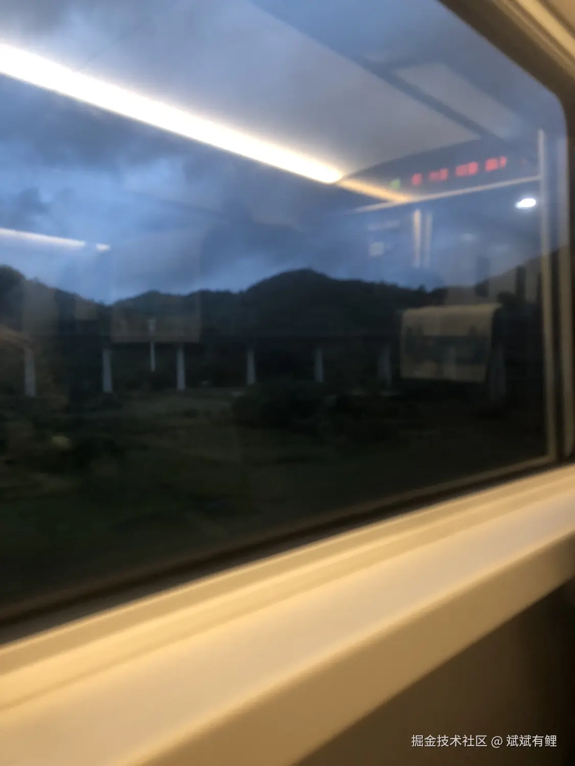 斌斌有鲤于2024-07-24 18:49发布的图片