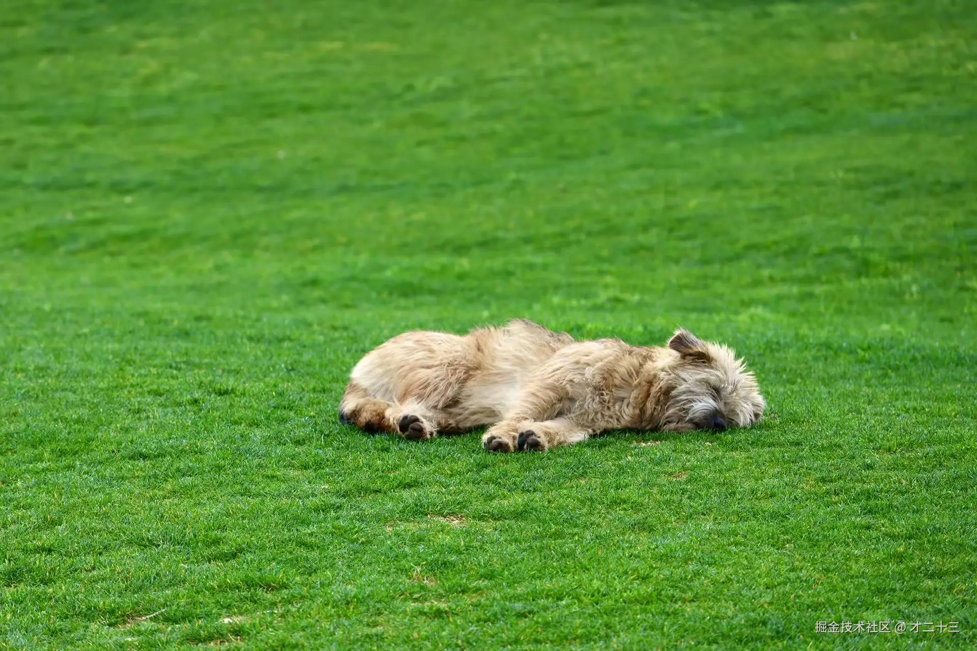 才二十三于2025-03-18 09:42发布的图片