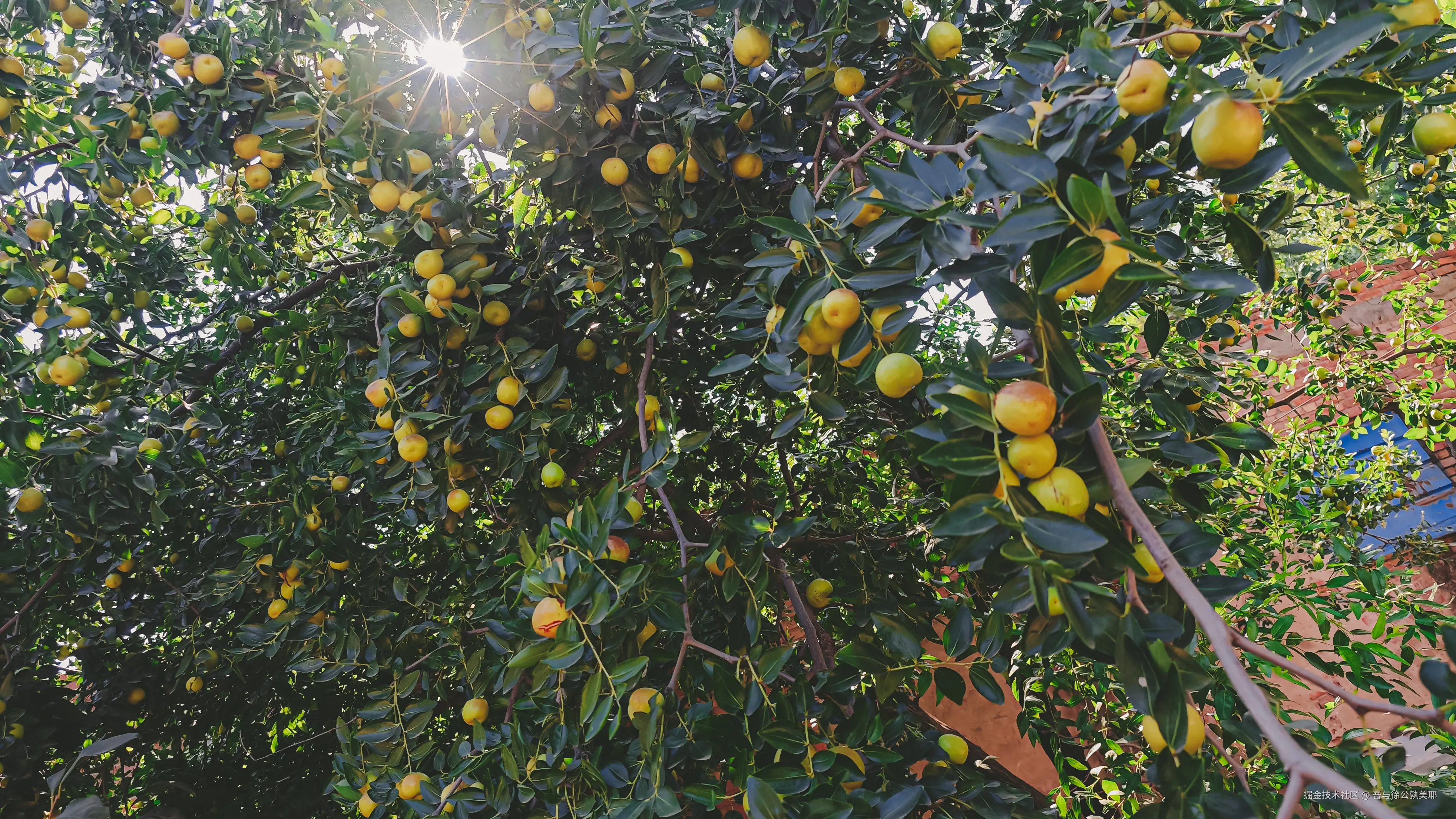 吾与徐公孰美耶于2024-08-16 14:04发布的图片