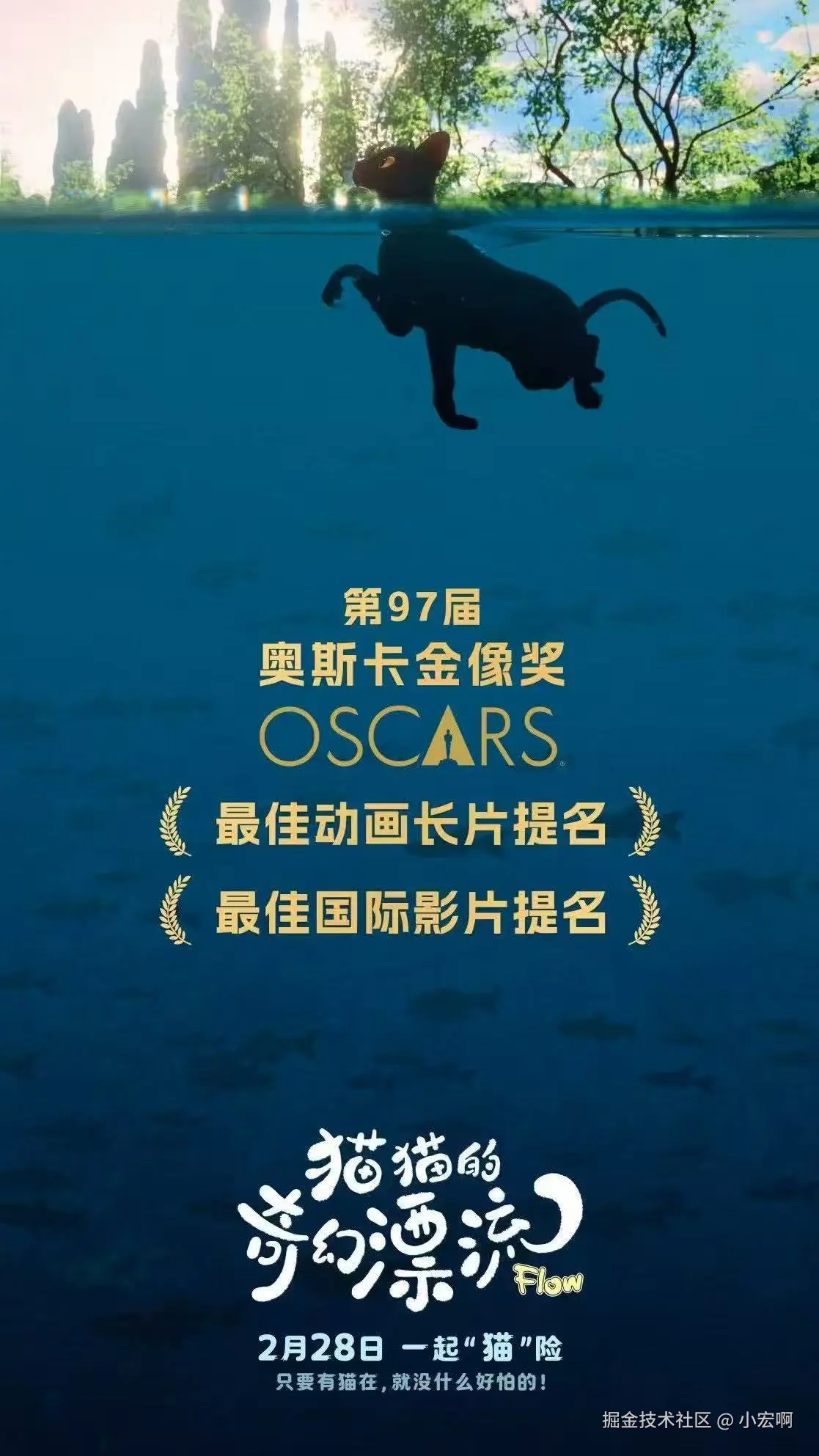 小宏啊于2025-04-18 10:09发布的图片