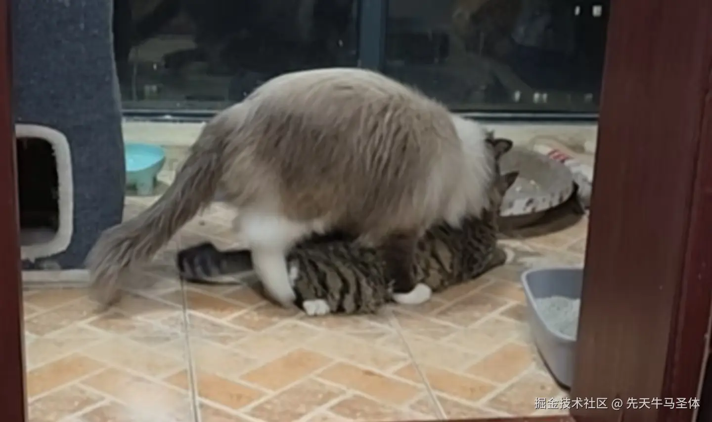 先天牛马圣体于2025-04-15 12:33发布的图片