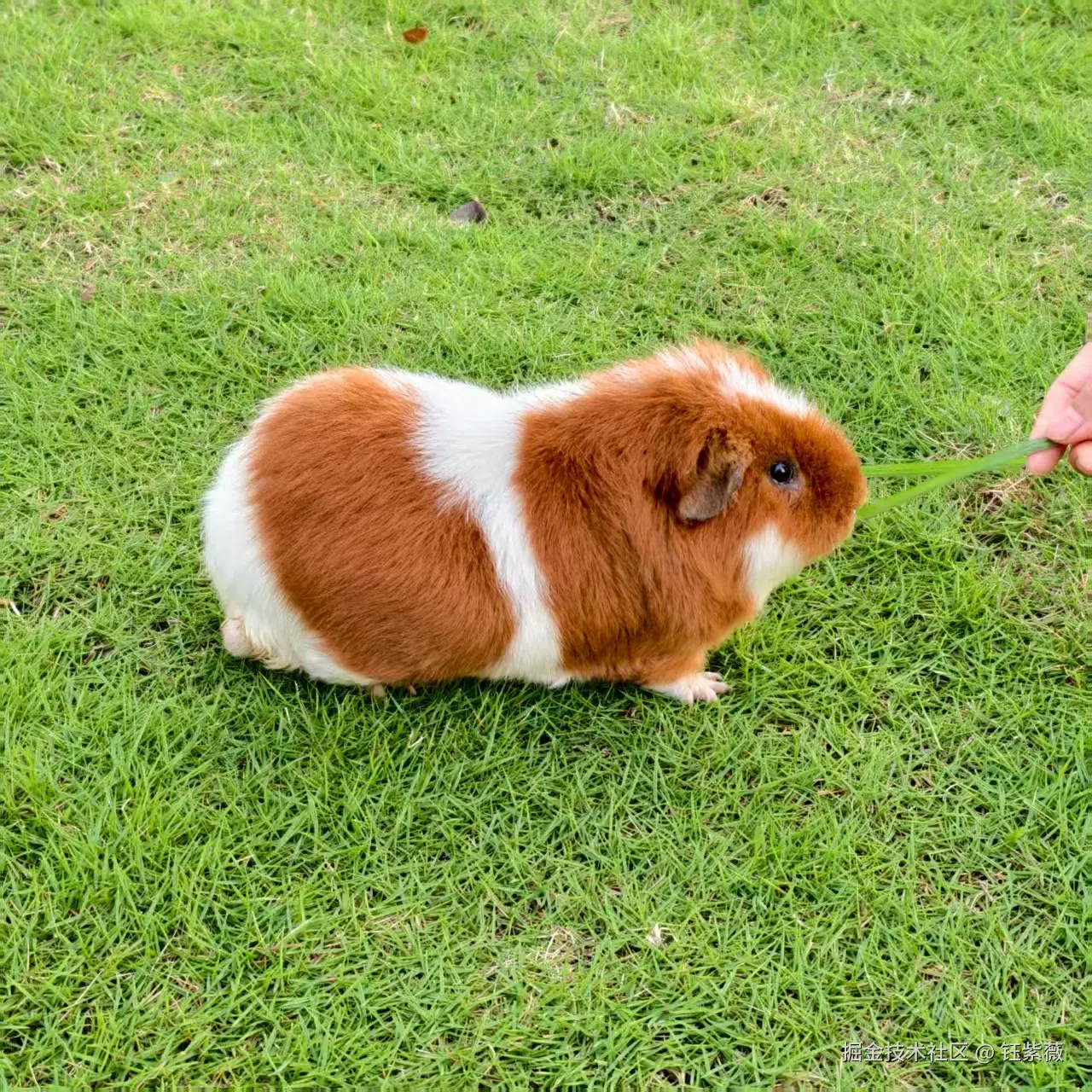 钰紫薇于2025-07-21 14:04发布的图片