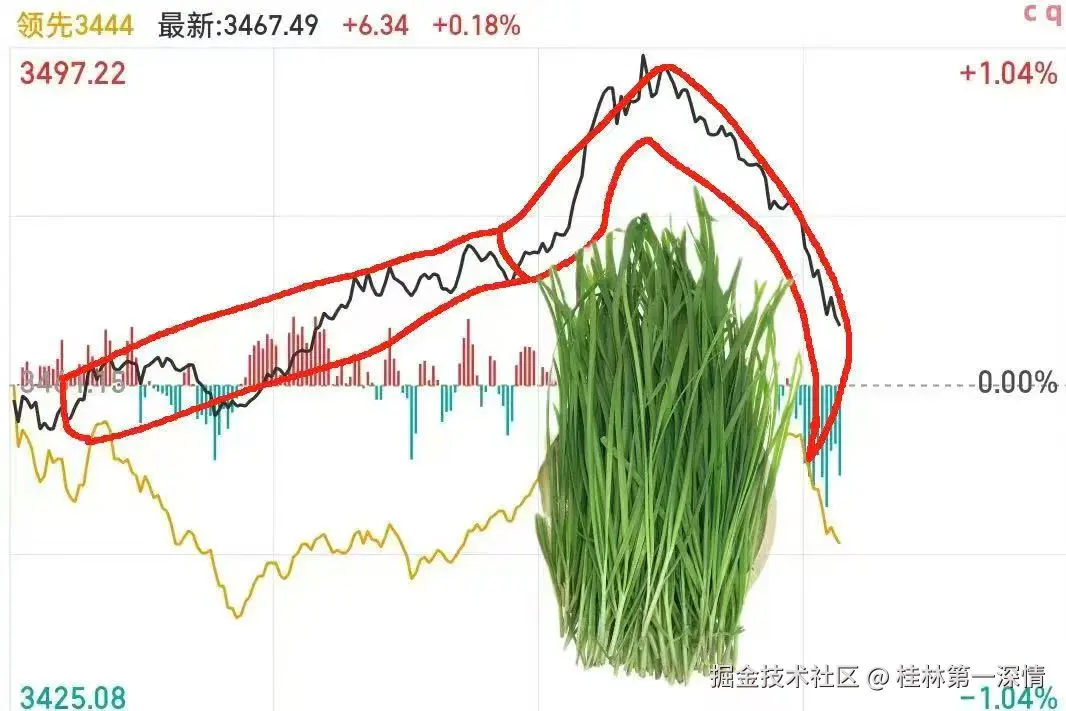 桂林第一深情于2025-07-04 18:25发布的图片