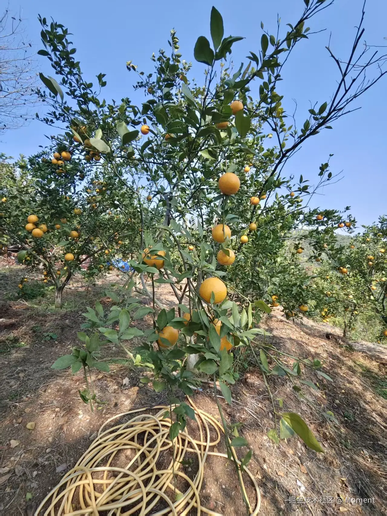 Moment于2025-12-16 10:46发布的图片