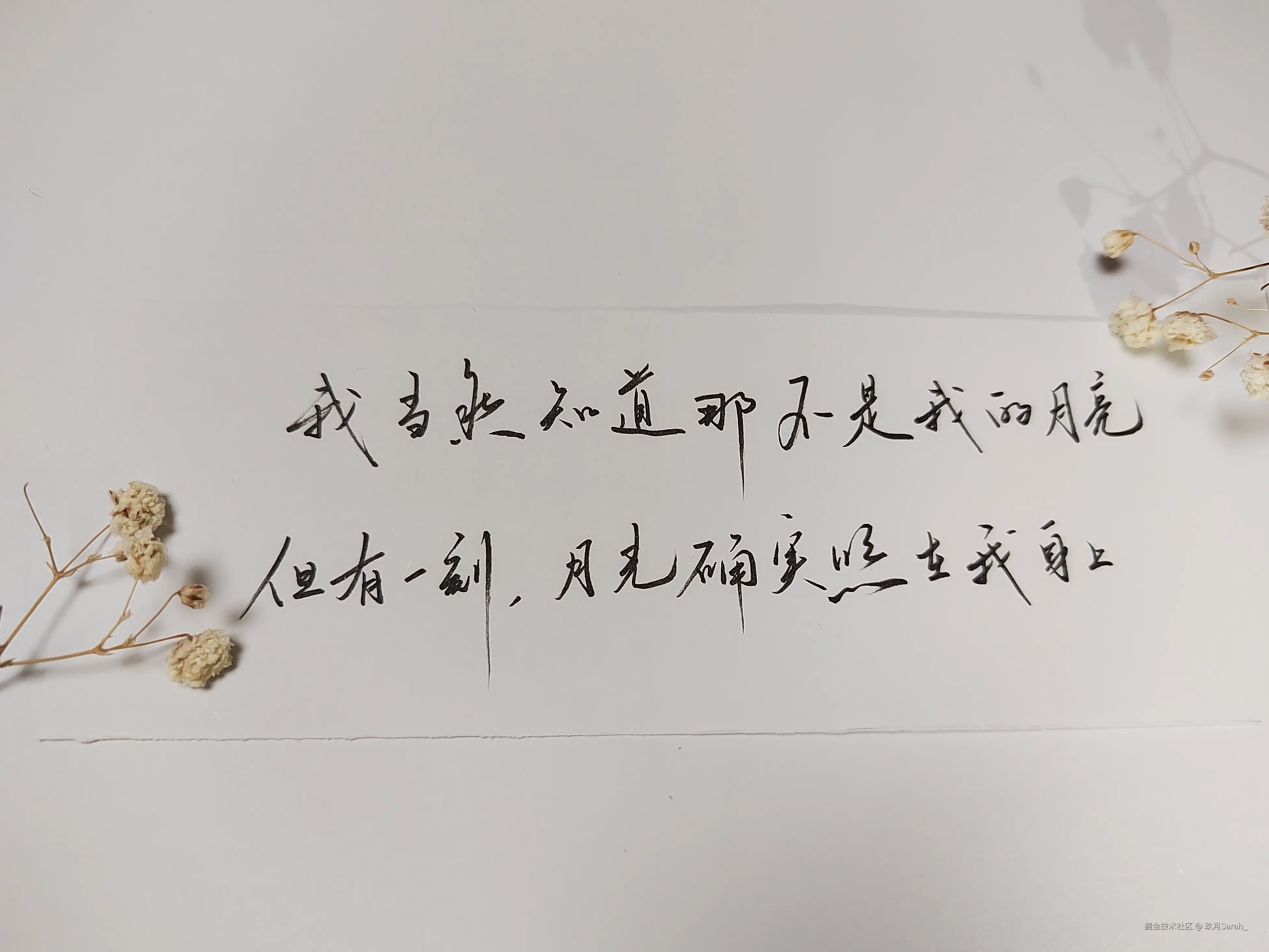 玖月Sarah_于2024-10-30 05:56发布的图片