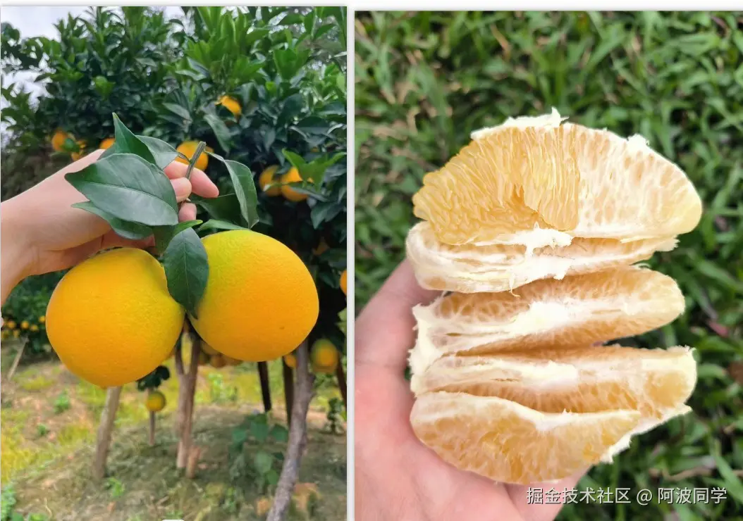 阿波同学于2024-11-07 10:34发布的图片