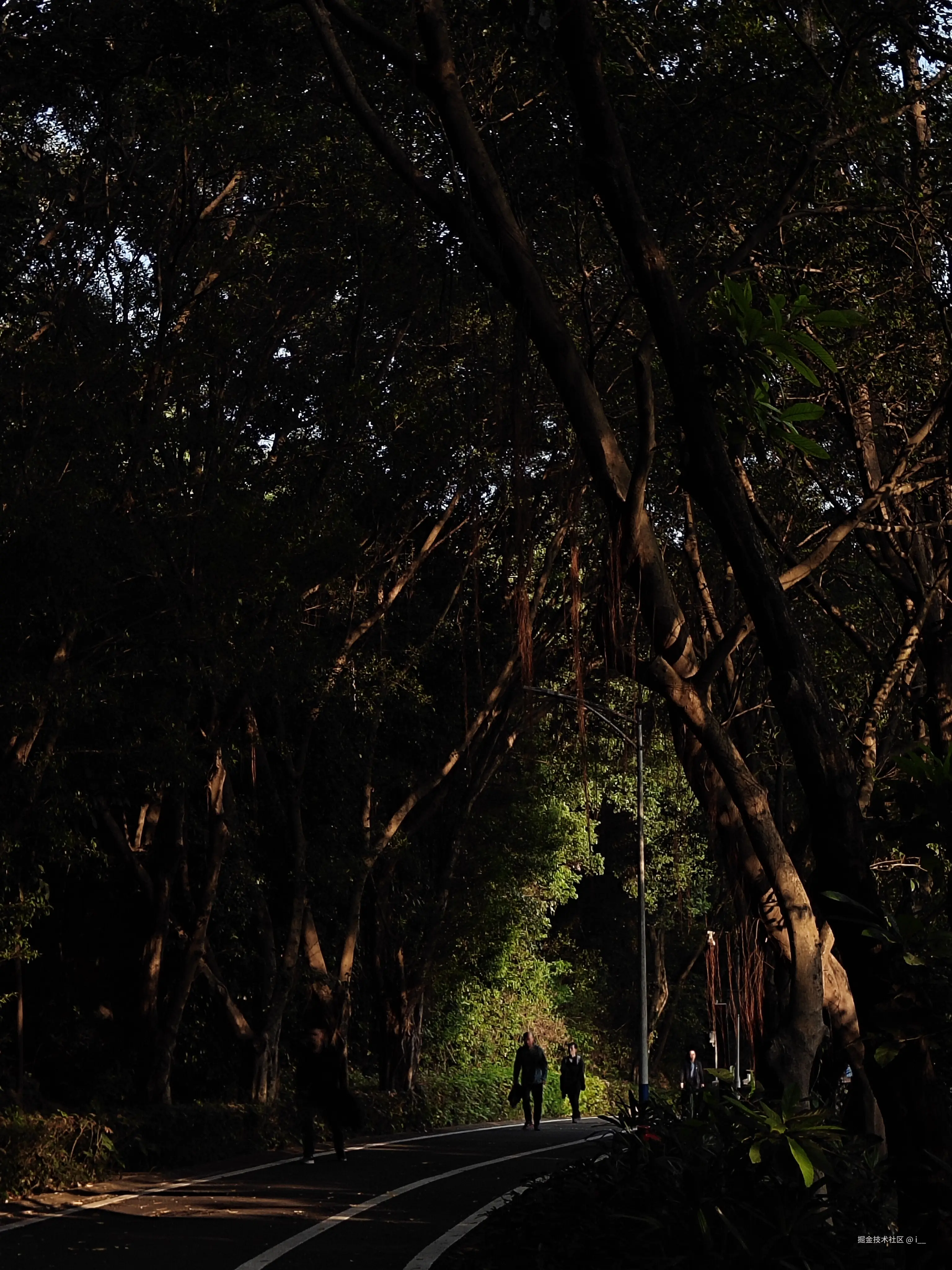 i__于2025-12-30 13:45发布的图片