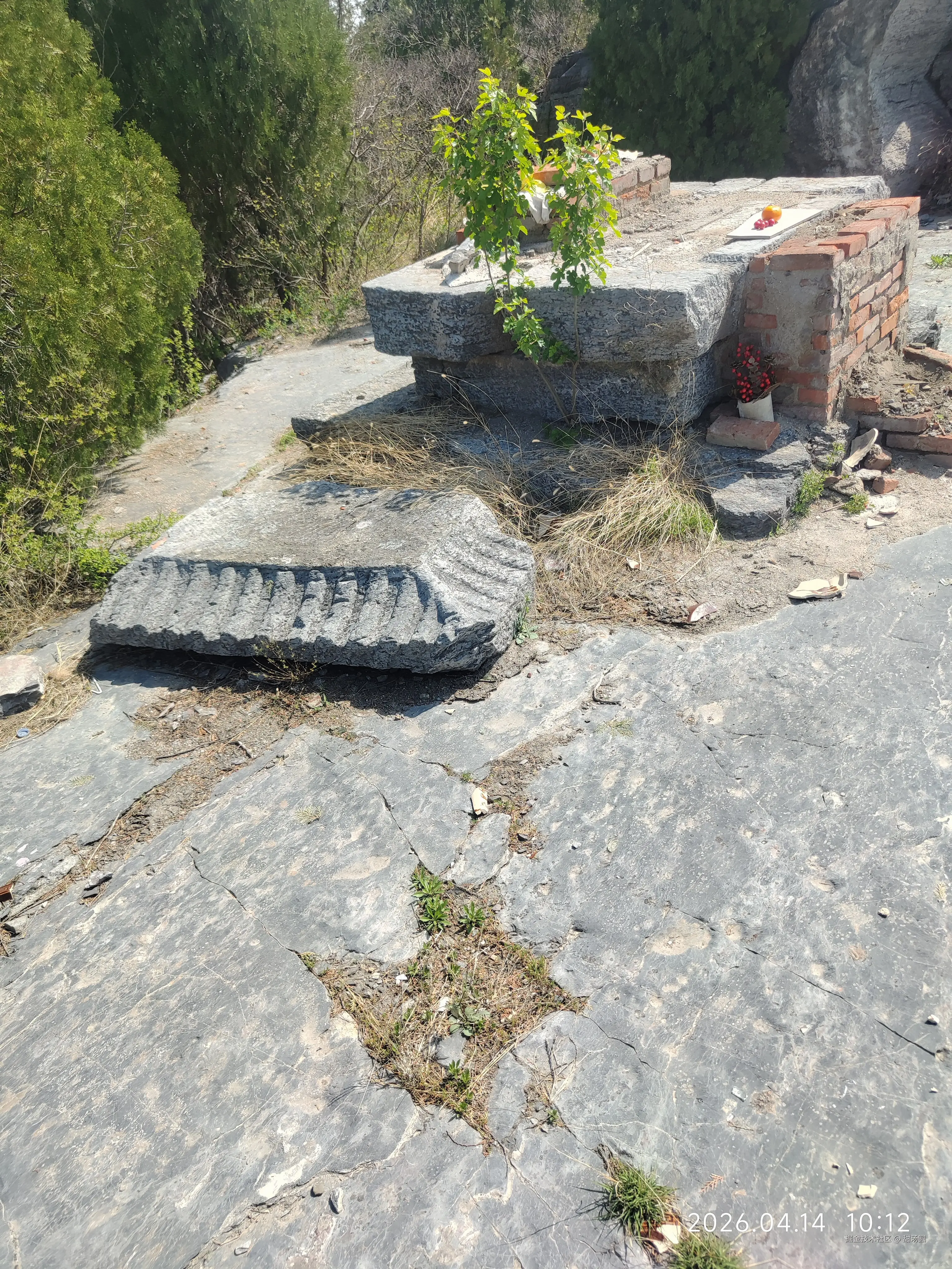 甜汤圆于2026-04-14 10:44发布的图片