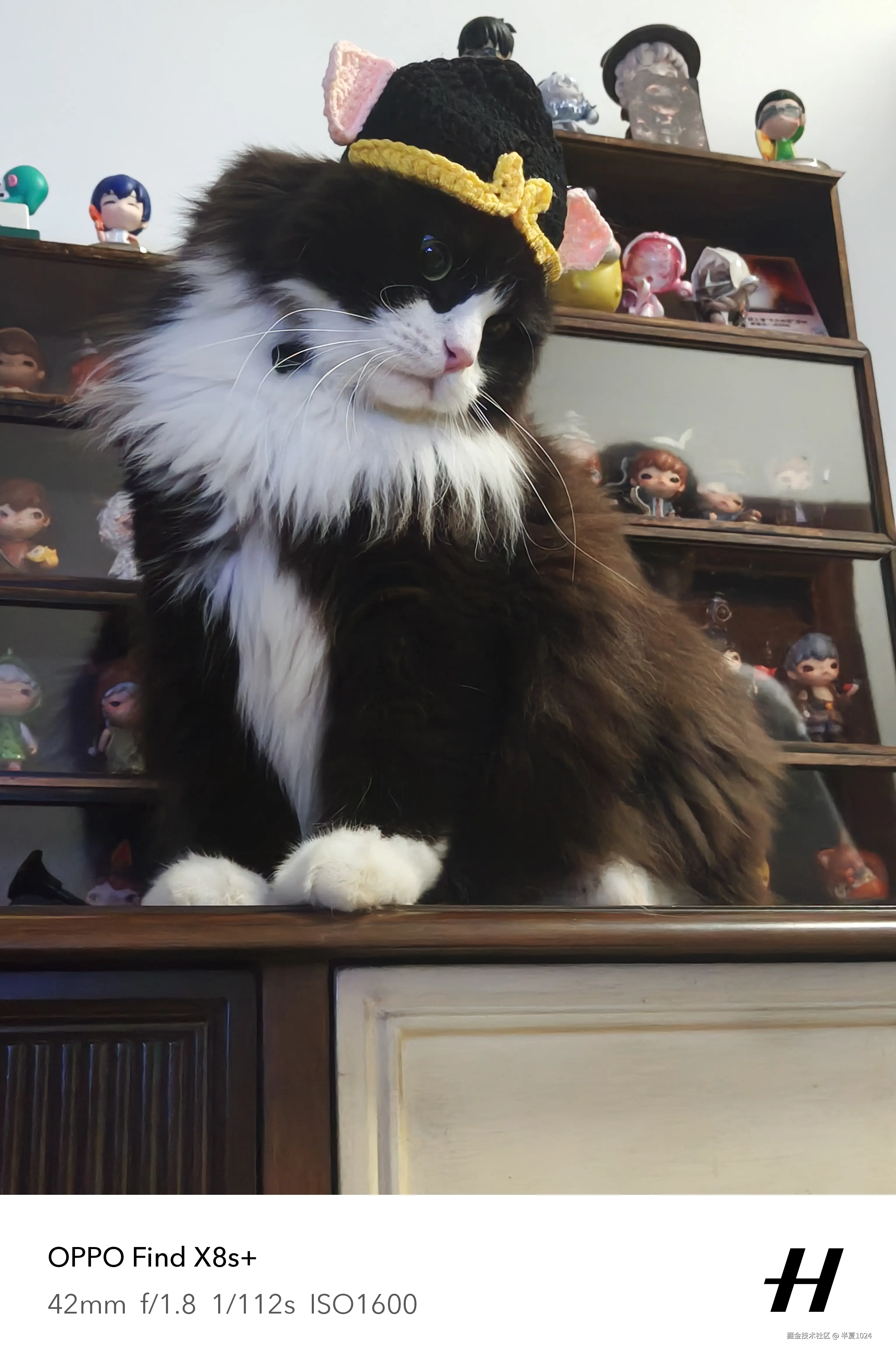 半夏1024于2025-06-25 11:23发布的图片