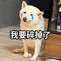 如初啊于2025-01-02 15:41发布的图片