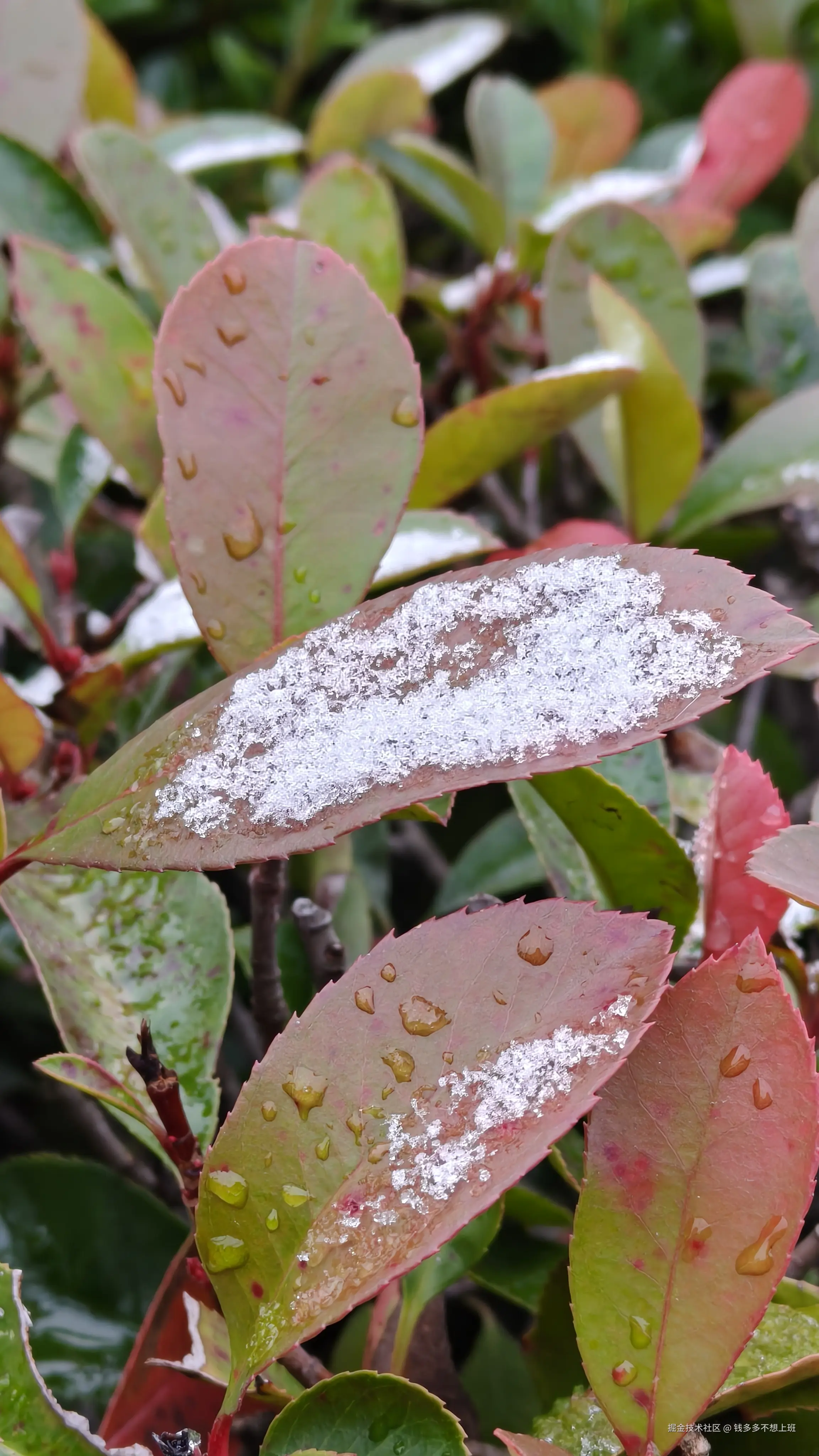 钱多多不想上班于2025-12-16 16:54发布的图片