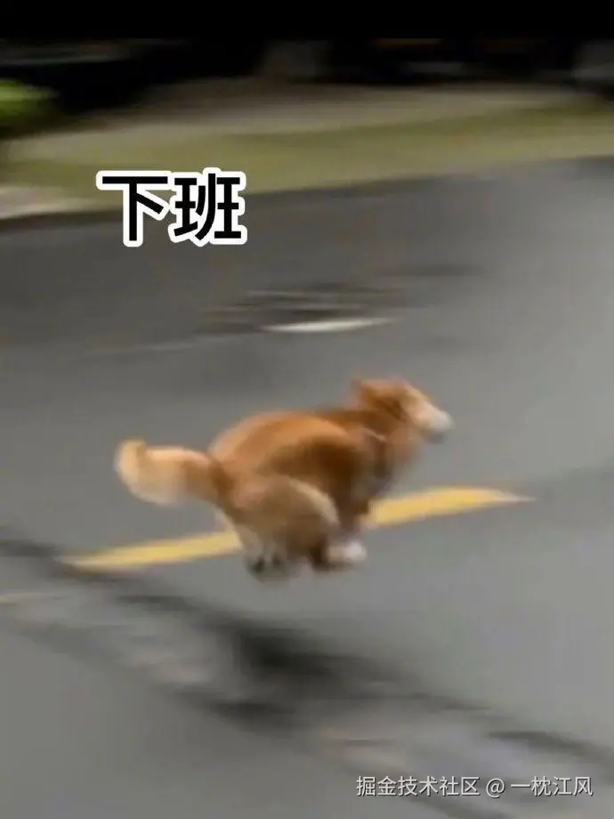 一枕江风于2025-05-28 17:55发布的图片