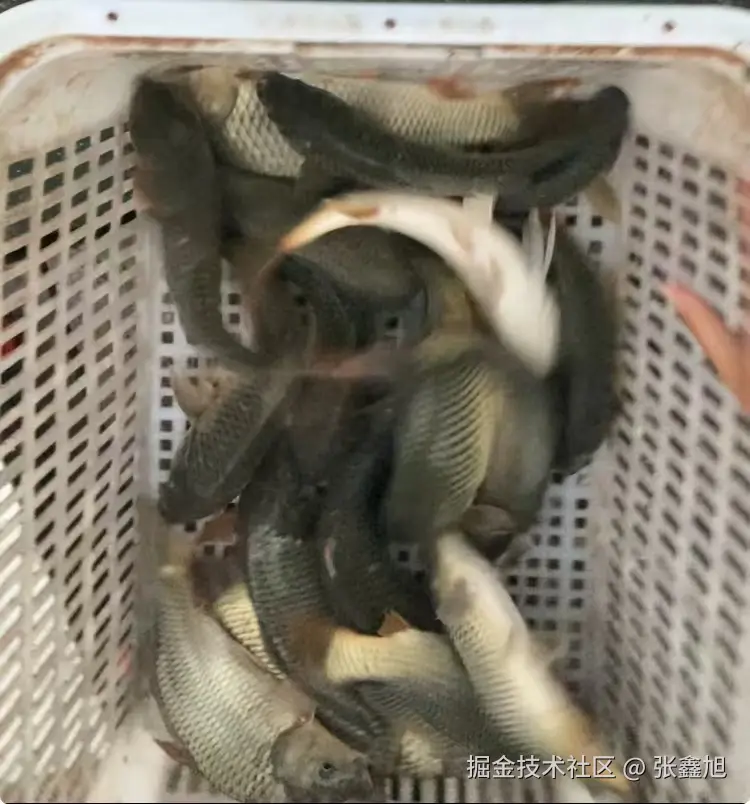 张鑫旭于2024-10-28 12:01发布的图片