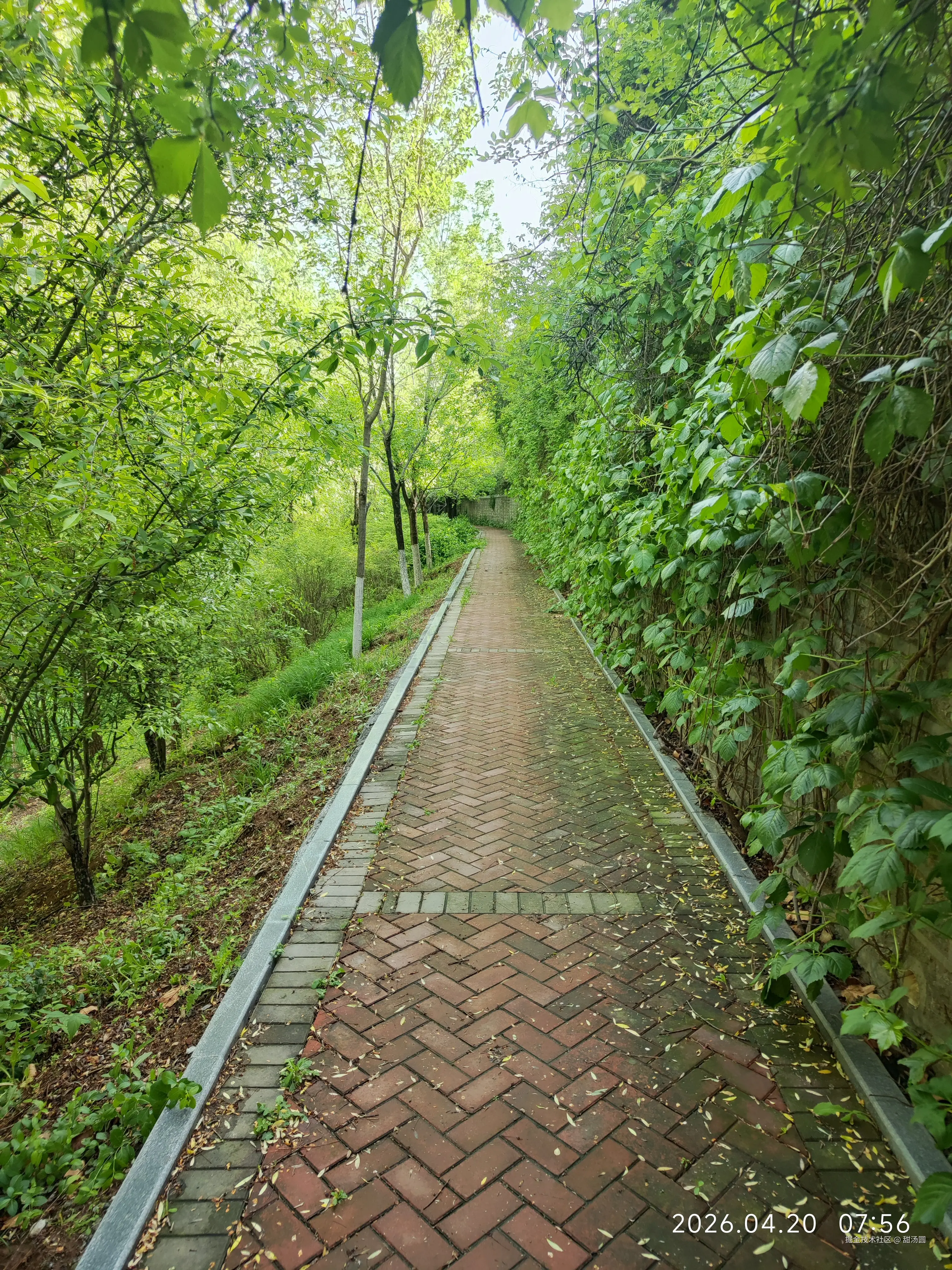 甜汤圆于2026-04-20 08:35发布的图片