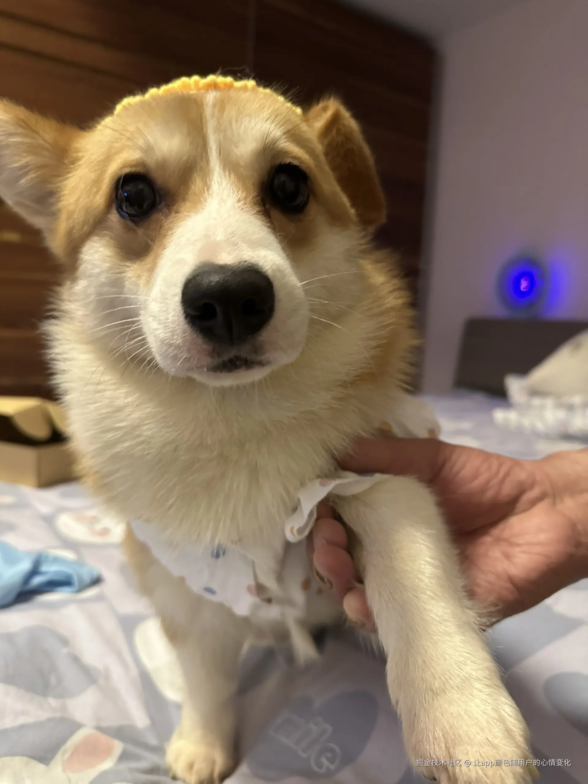 让app颜色随用户的心情变化于2024-08-22 09:26发布的图片