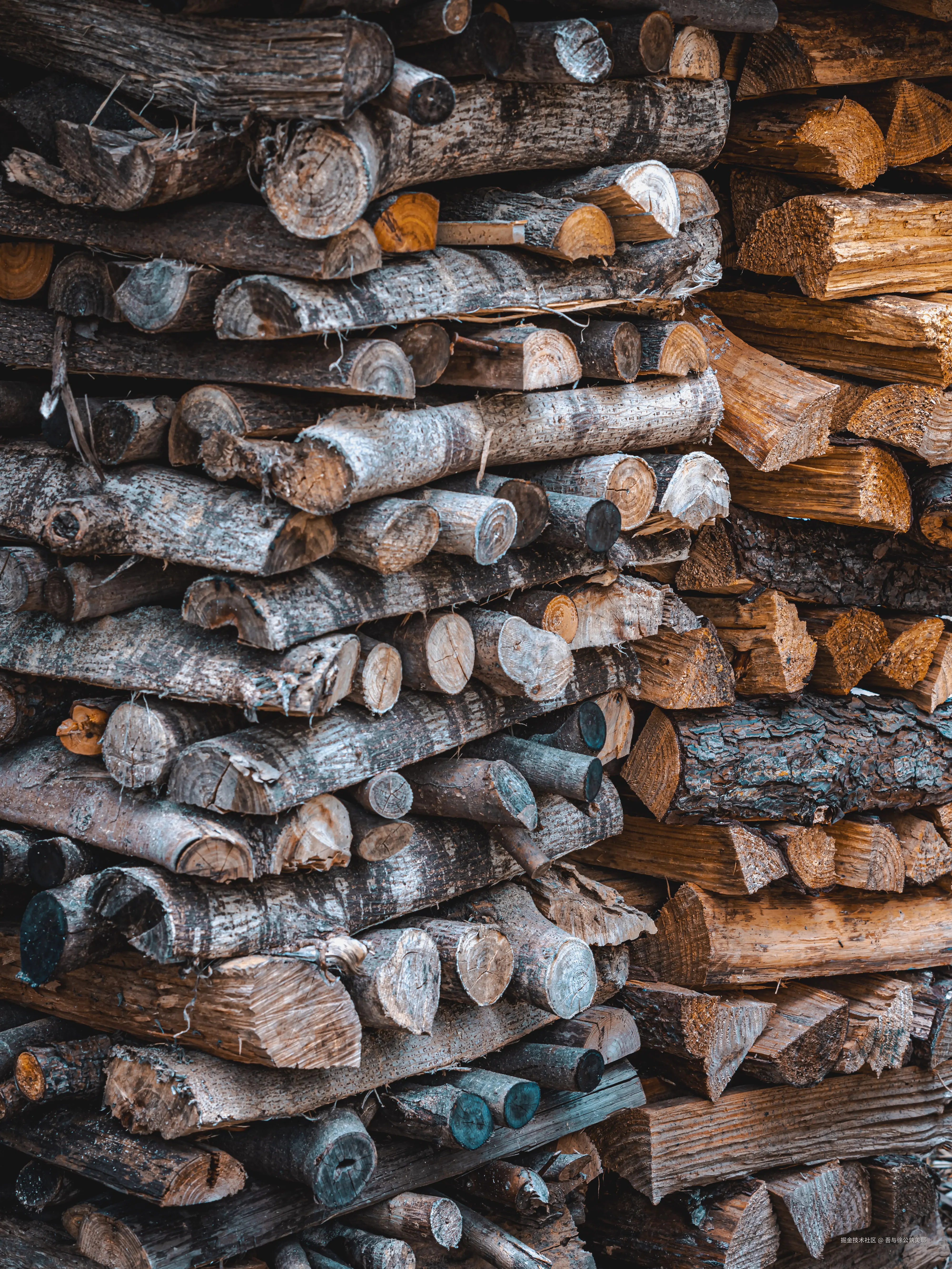 吾与徐公孰美耶于2024-09-06 15:01发布的图片