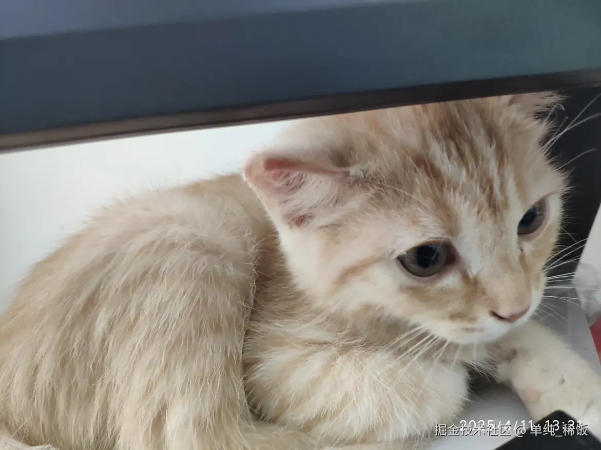 单纯_稀饭于2025-04-11 15:02发布的图片