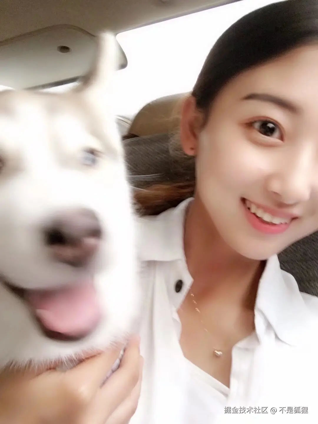 不是狐狸于2025-11-27 14:36发布的图片