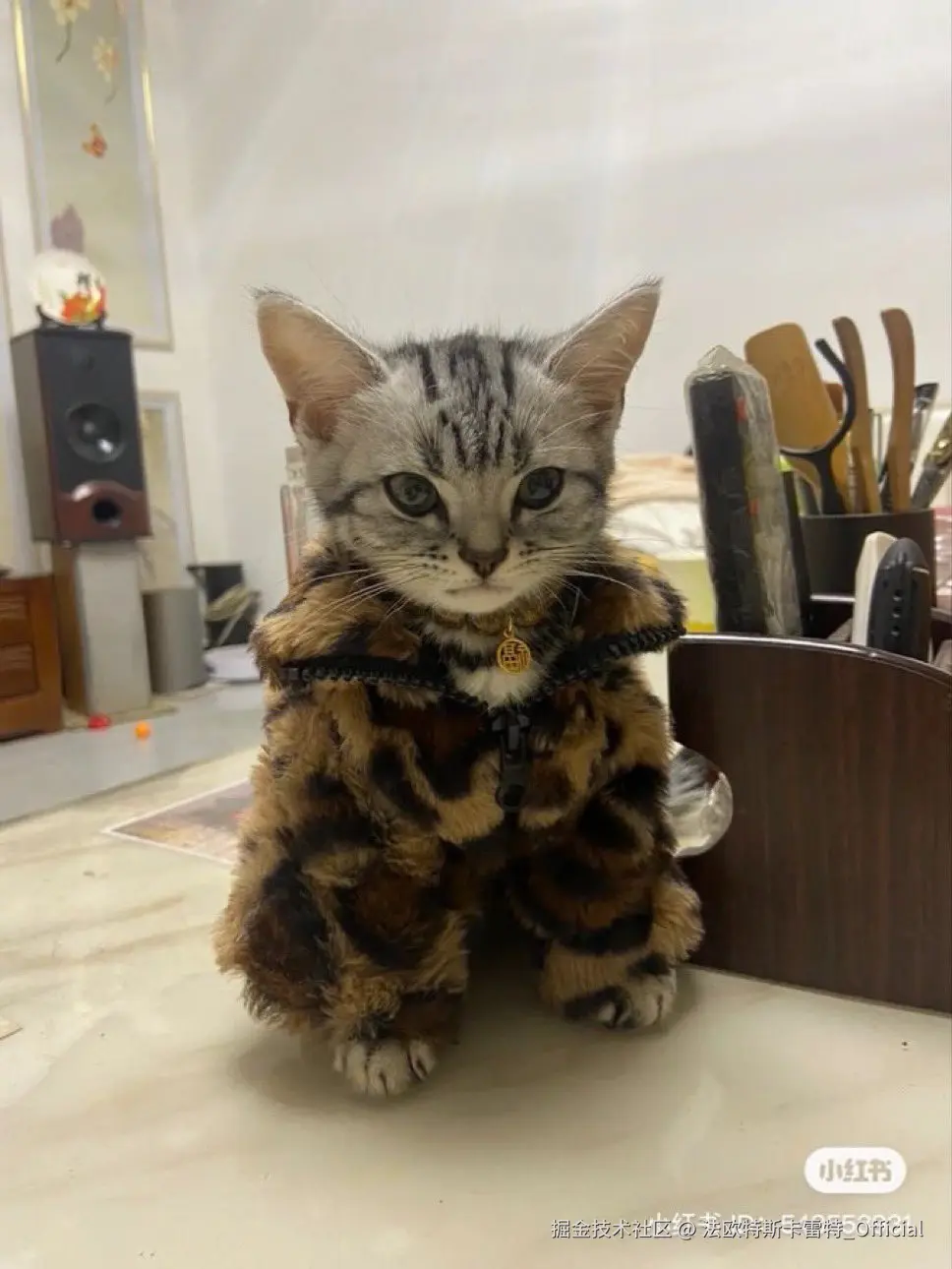 法欧特斯卡雷特_Official于2024-11-22 13:37发布的图片