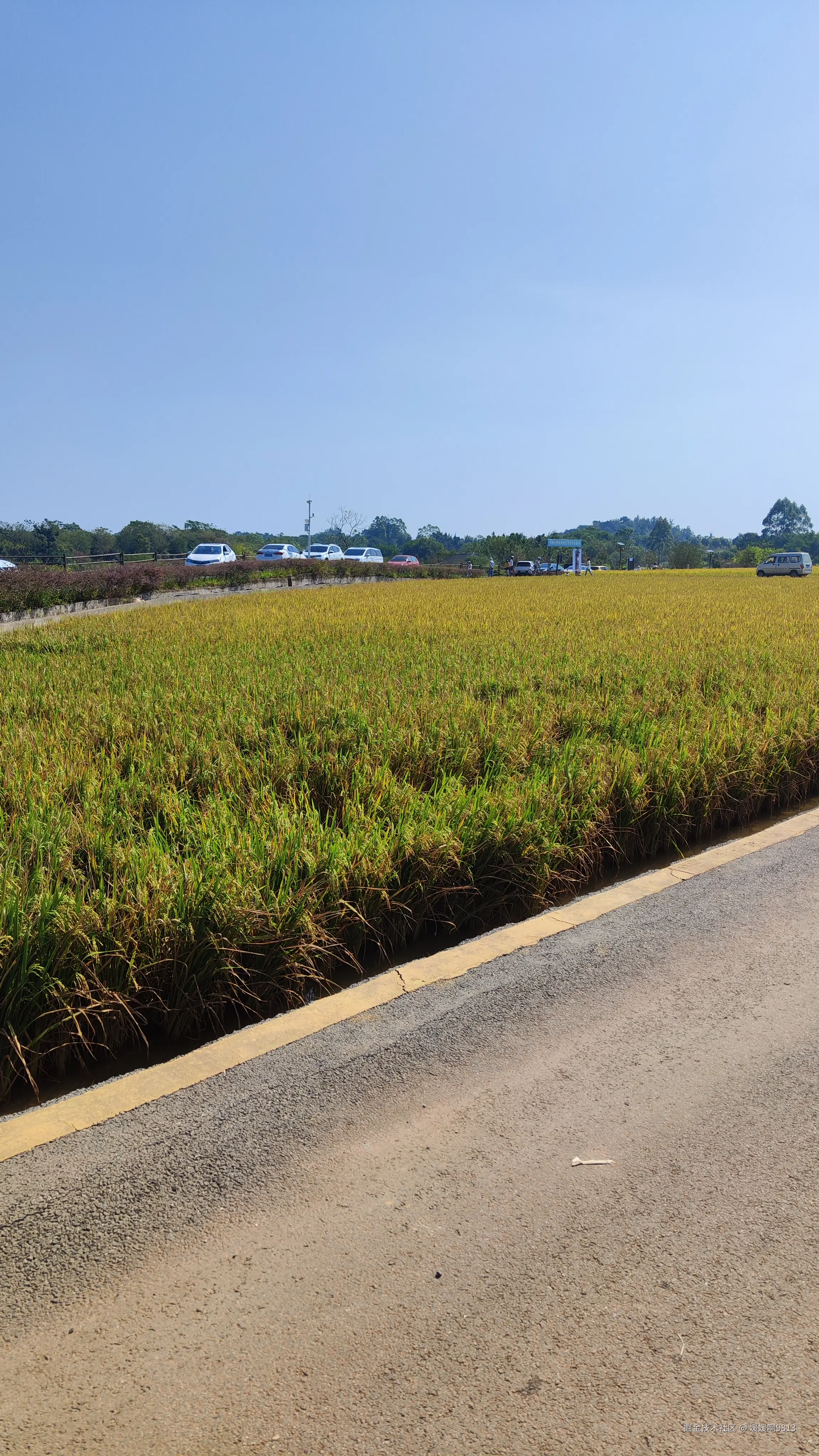 媛媛啊9813于2024-11-03 07:19发布的图片