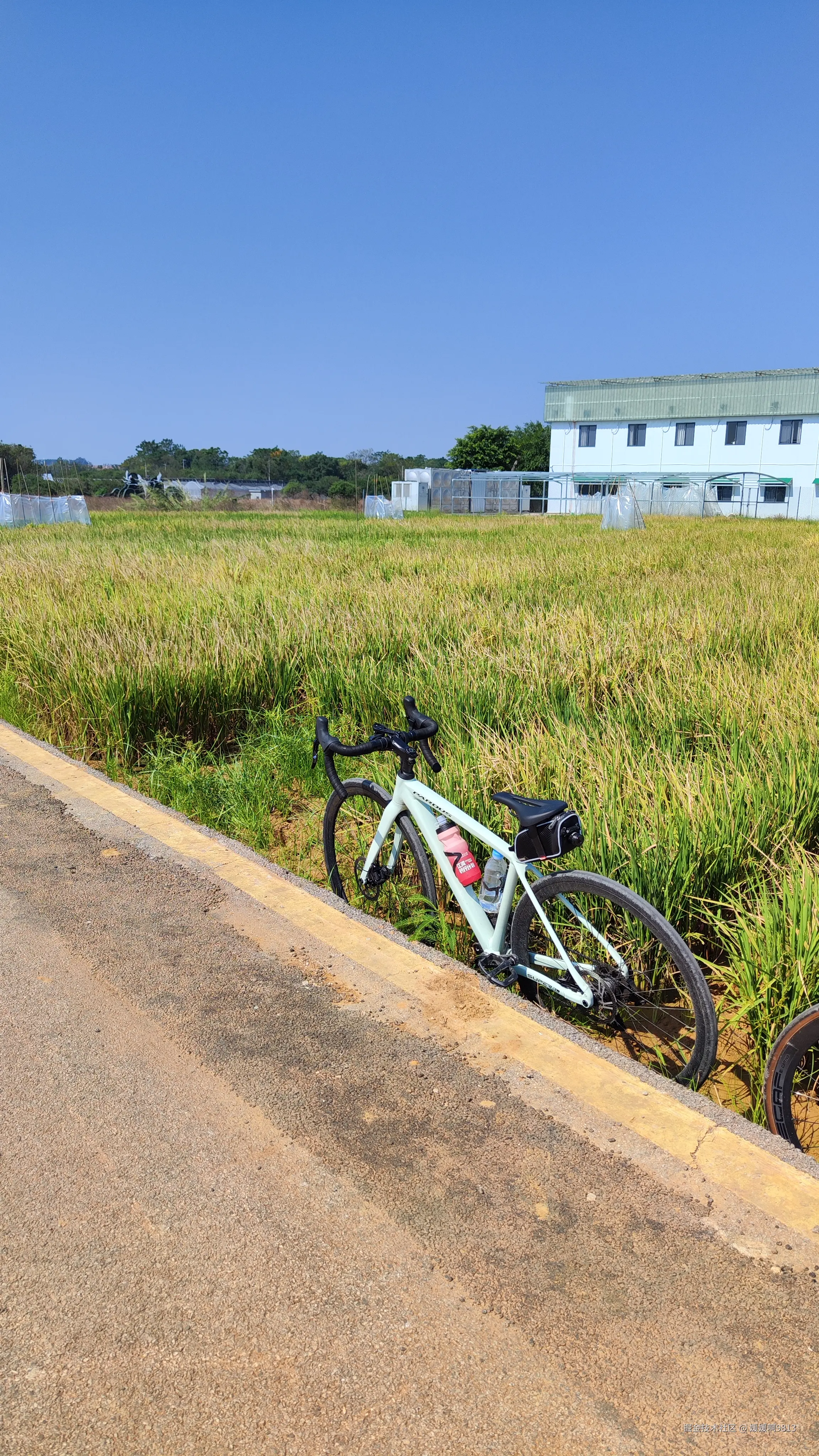 媛媛啊9813于2024-11-03 07:19发布的图片