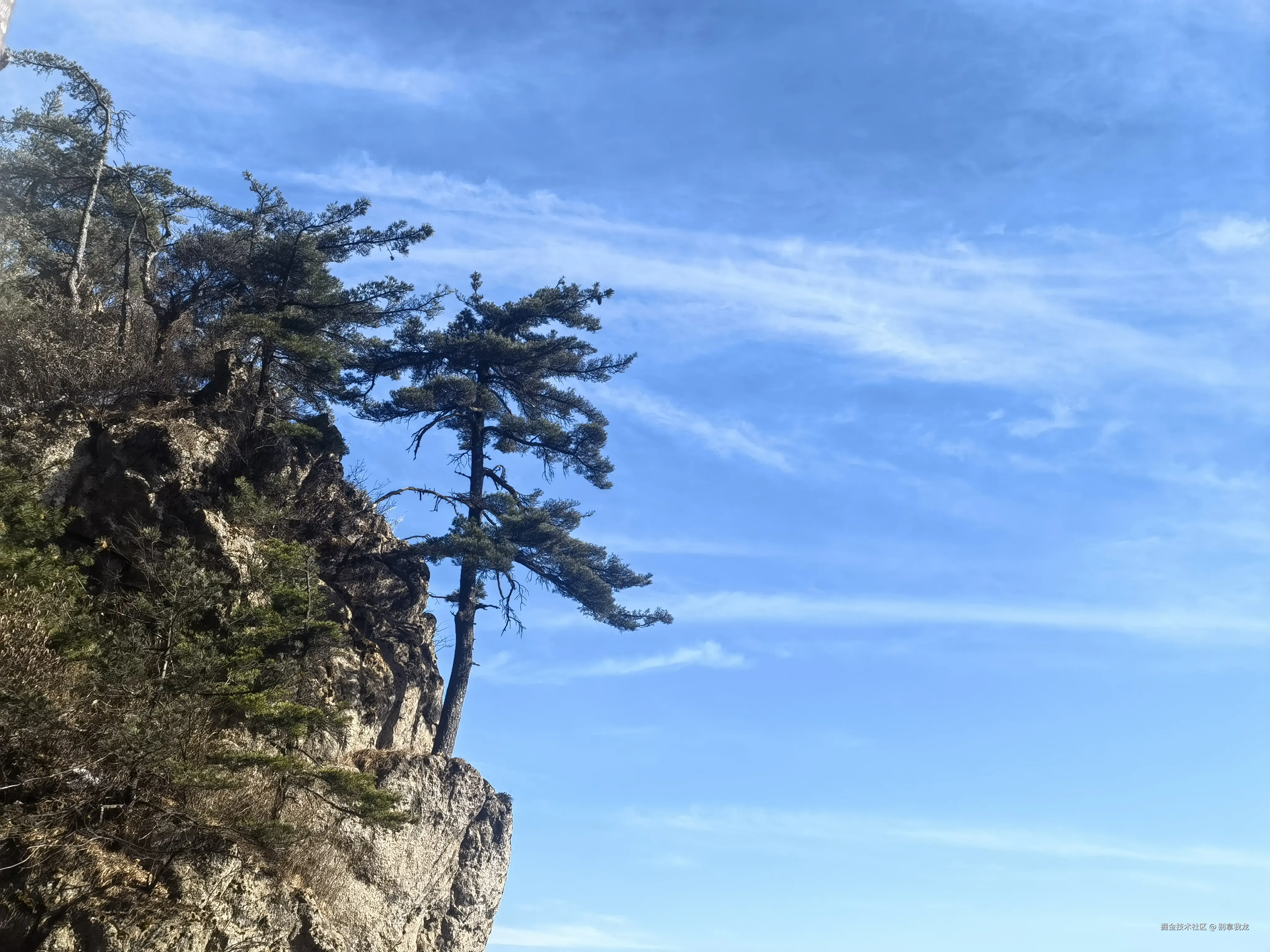 别拿我龙于2025-01-21 11:58发布的图片