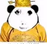 奶白雪仔于2024-08-23 09:28发布的图片