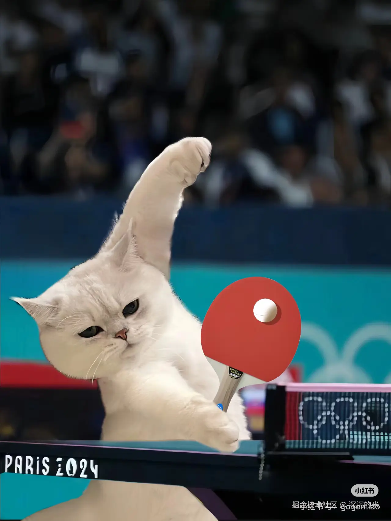 深沉的米于2024-08-22 17:15发布的图片