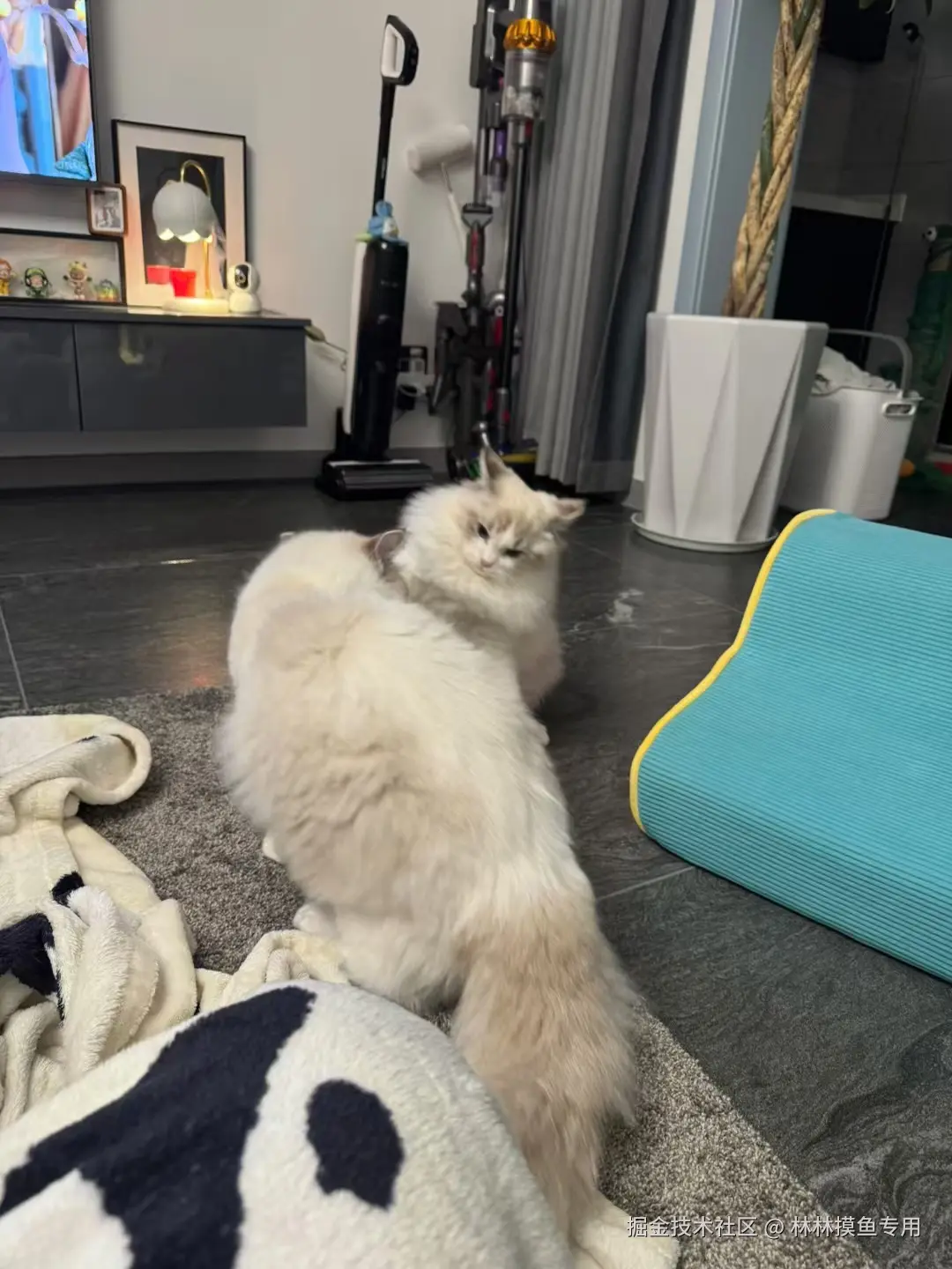 林林摸鱼专用于2024-11-01 14:24发布的图片