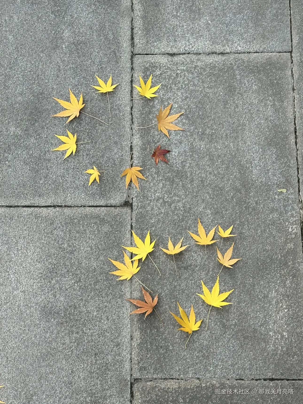 那我关月亮咯于2024-12-24 16:13发布的图片