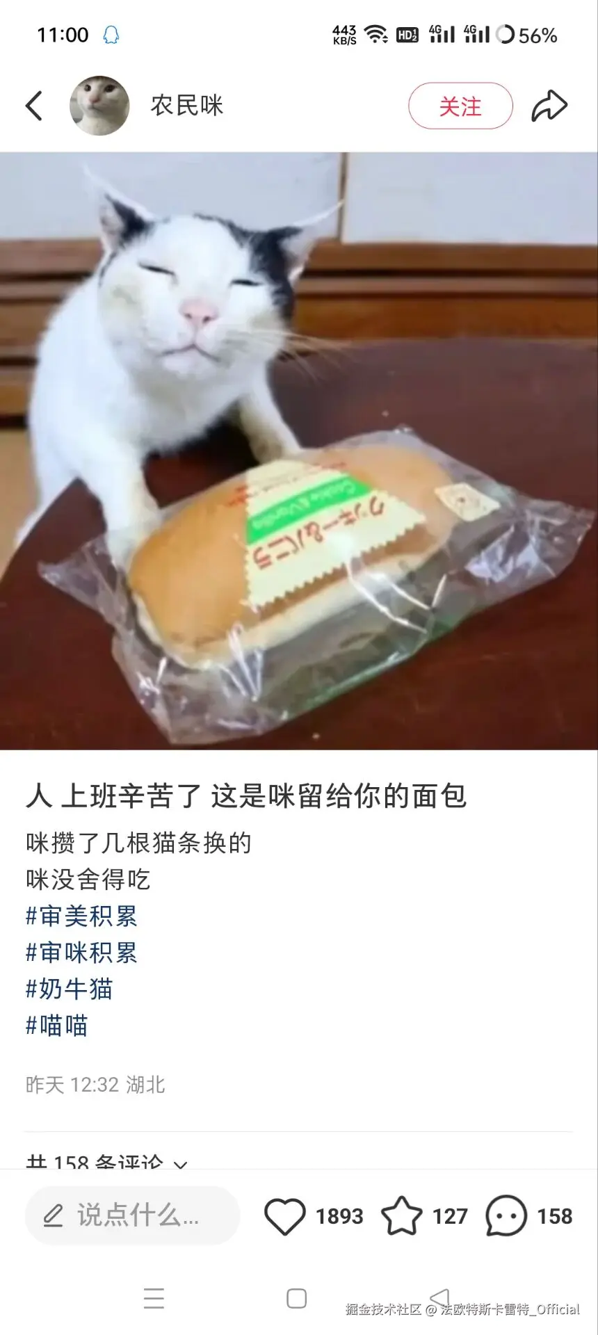 法欧特斯卡雷特_Official于2025-06-19 12:49发布的图片