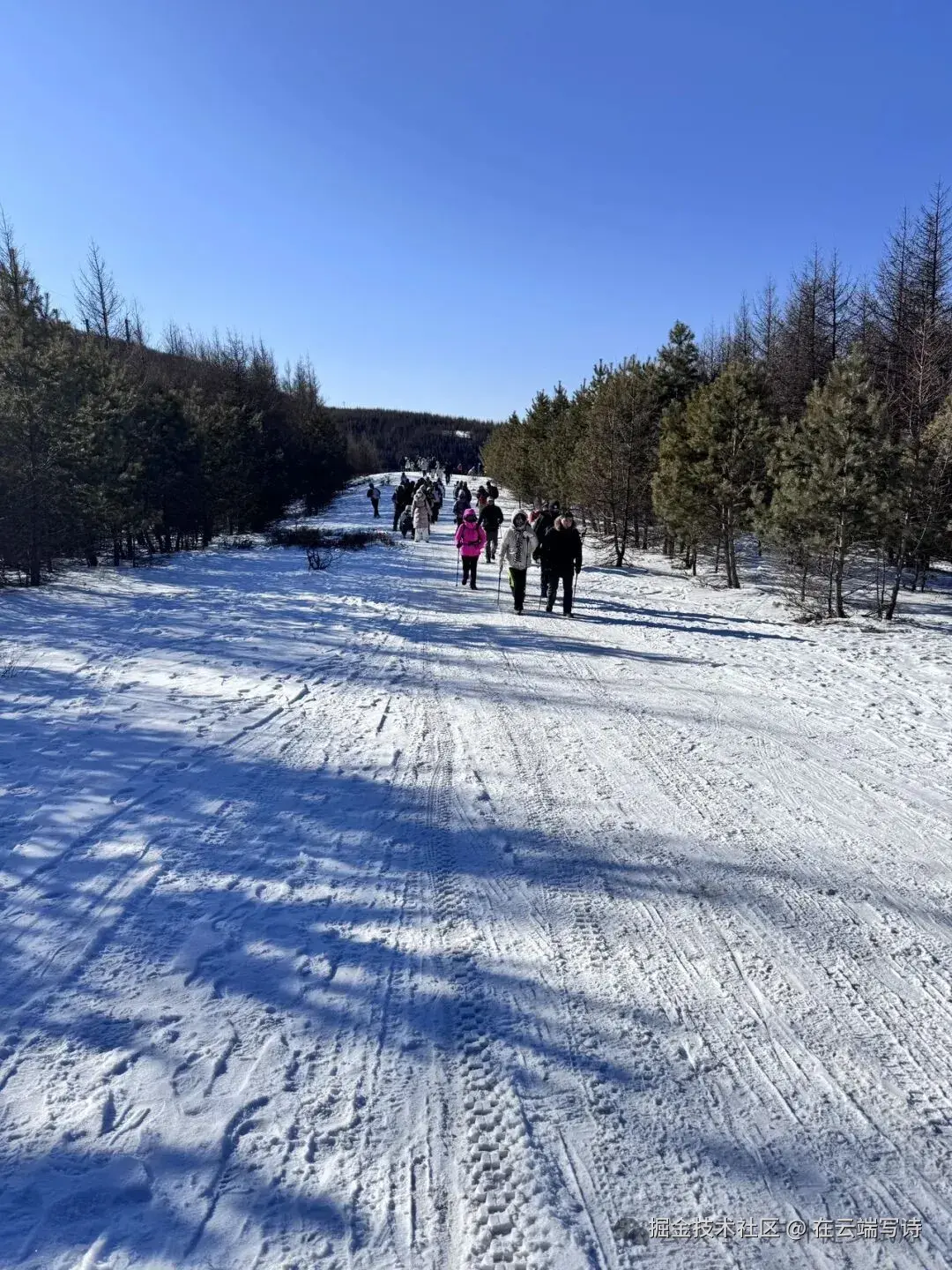 在云端写诗于2026-01-04 10:40发布的图片