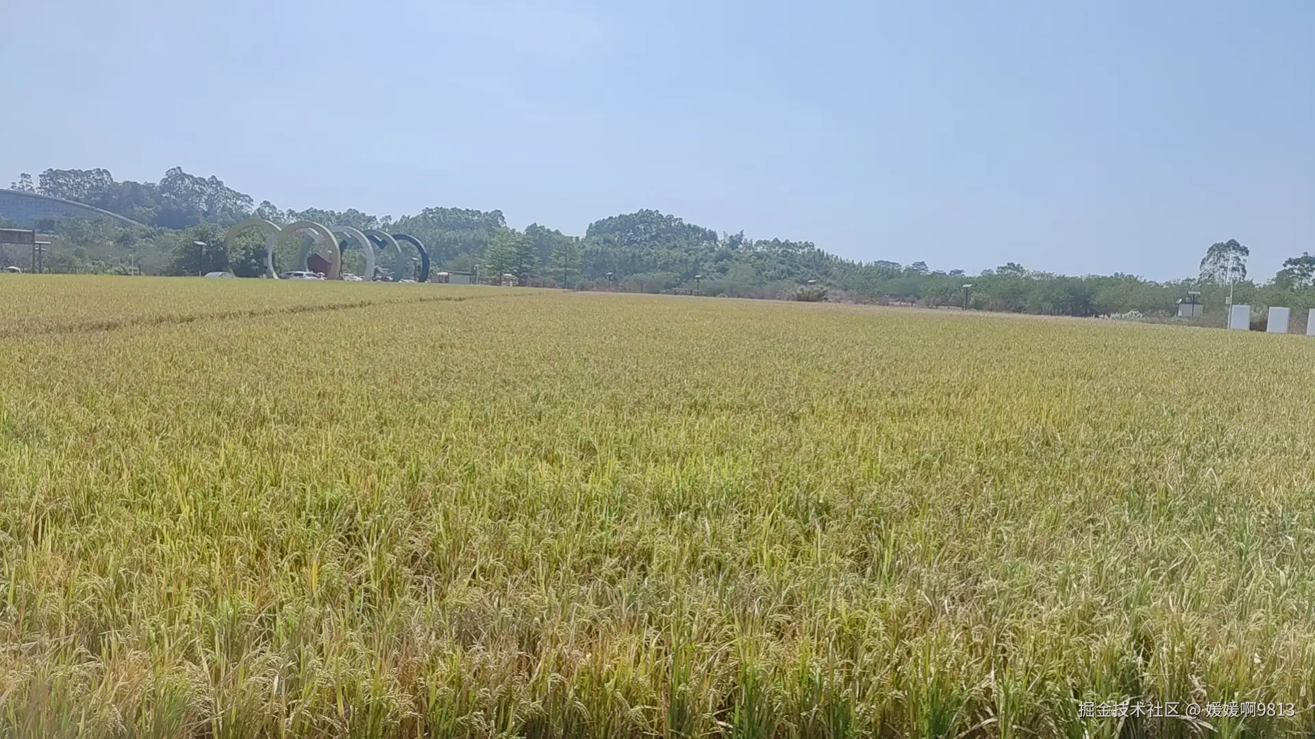 媛媛啊9813于2024-11-03 07:19发布的图片