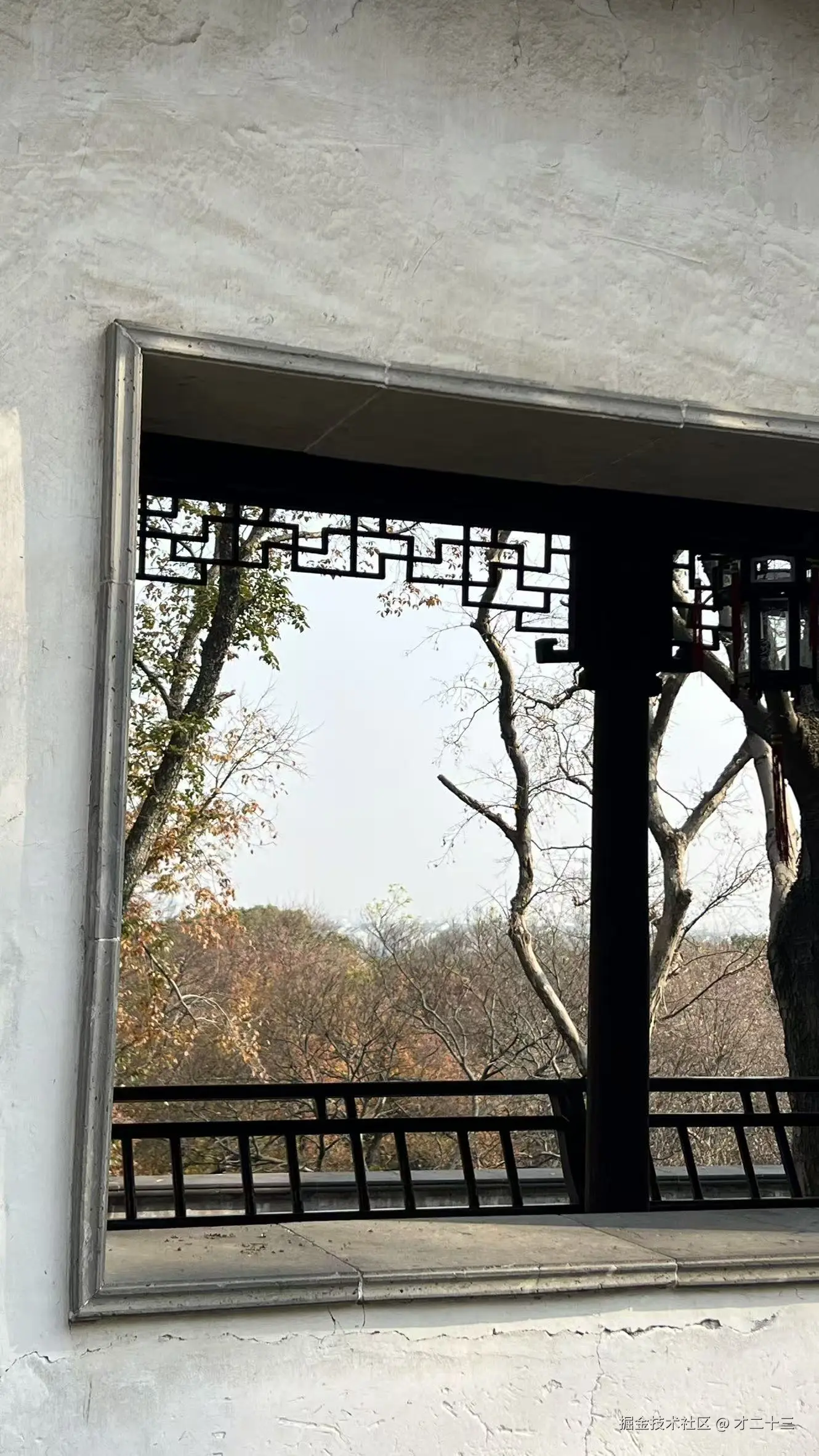 才二十三于2025-12-12 09:33发布的图片