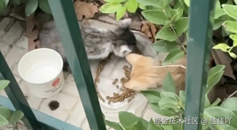 佳佳吖于2026-09-21 09:08发布的图片