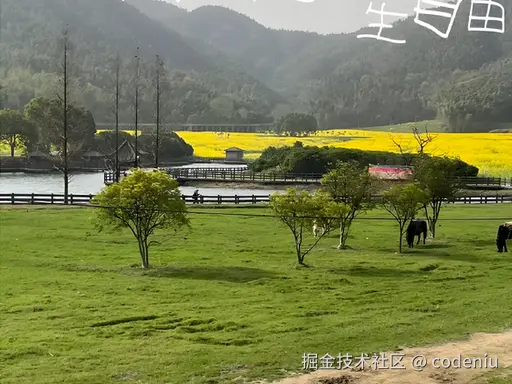 codeniu于2026-04-15 10:21发布的图片