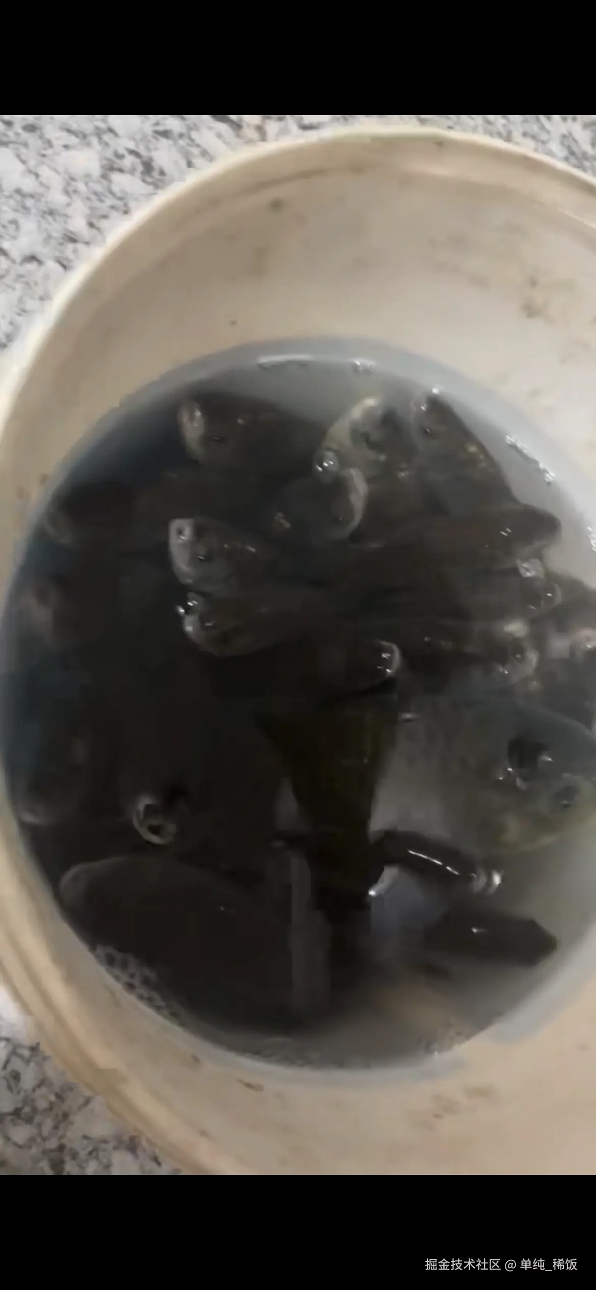 单纯_稀饭于2025-12-11 08:23发布的图片