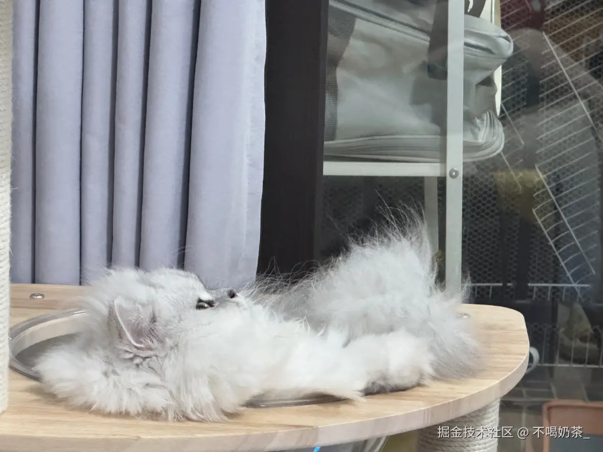 不喝奶茶_于2025-07-14 14:13发布的图片