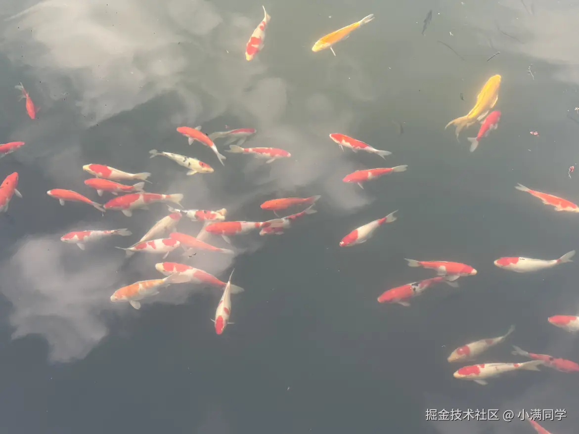 小满同学于2025-11-24 23:40发布的图片