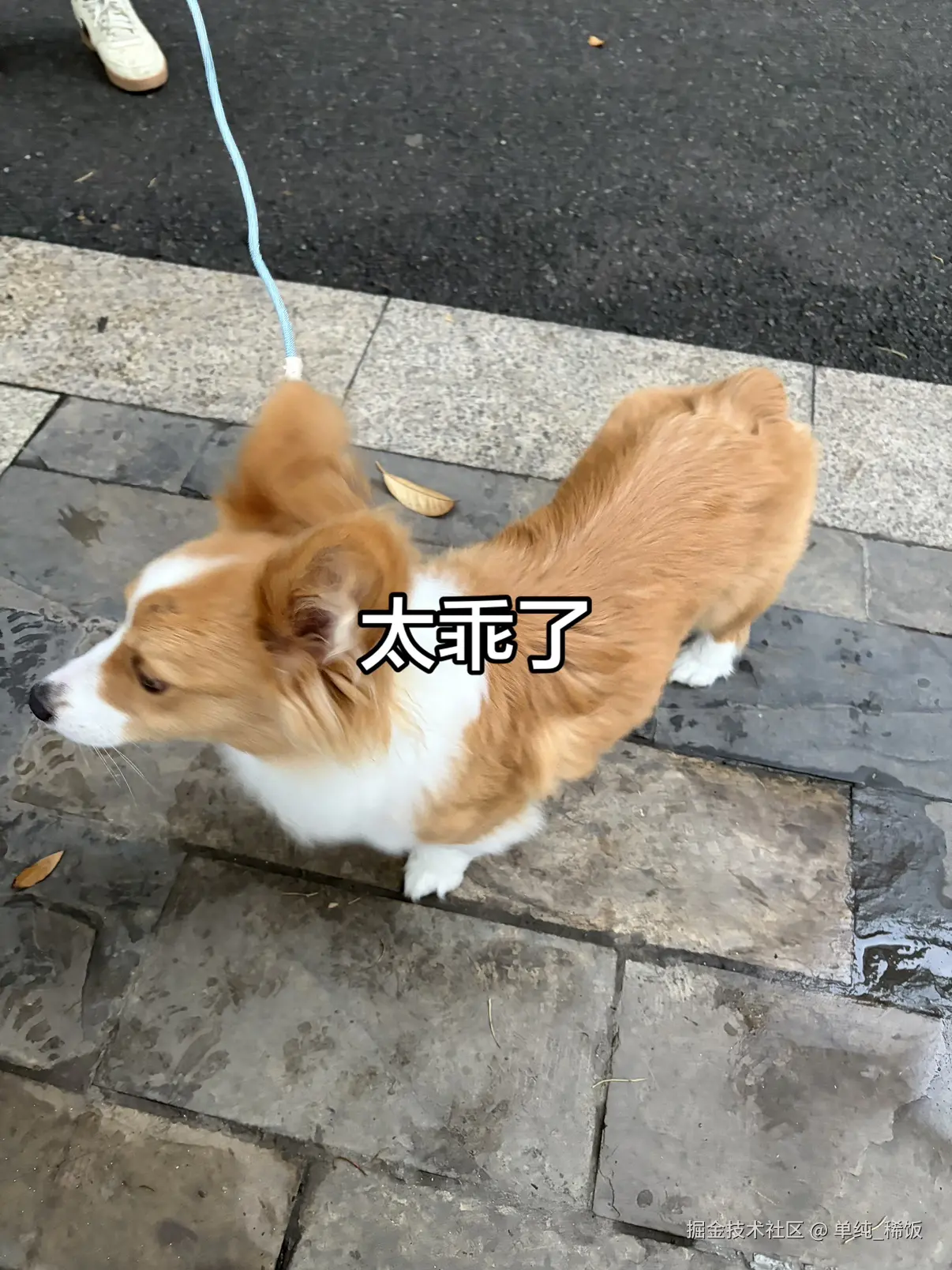 单纯_稀饭于2026-03-31 08:18发布的图片