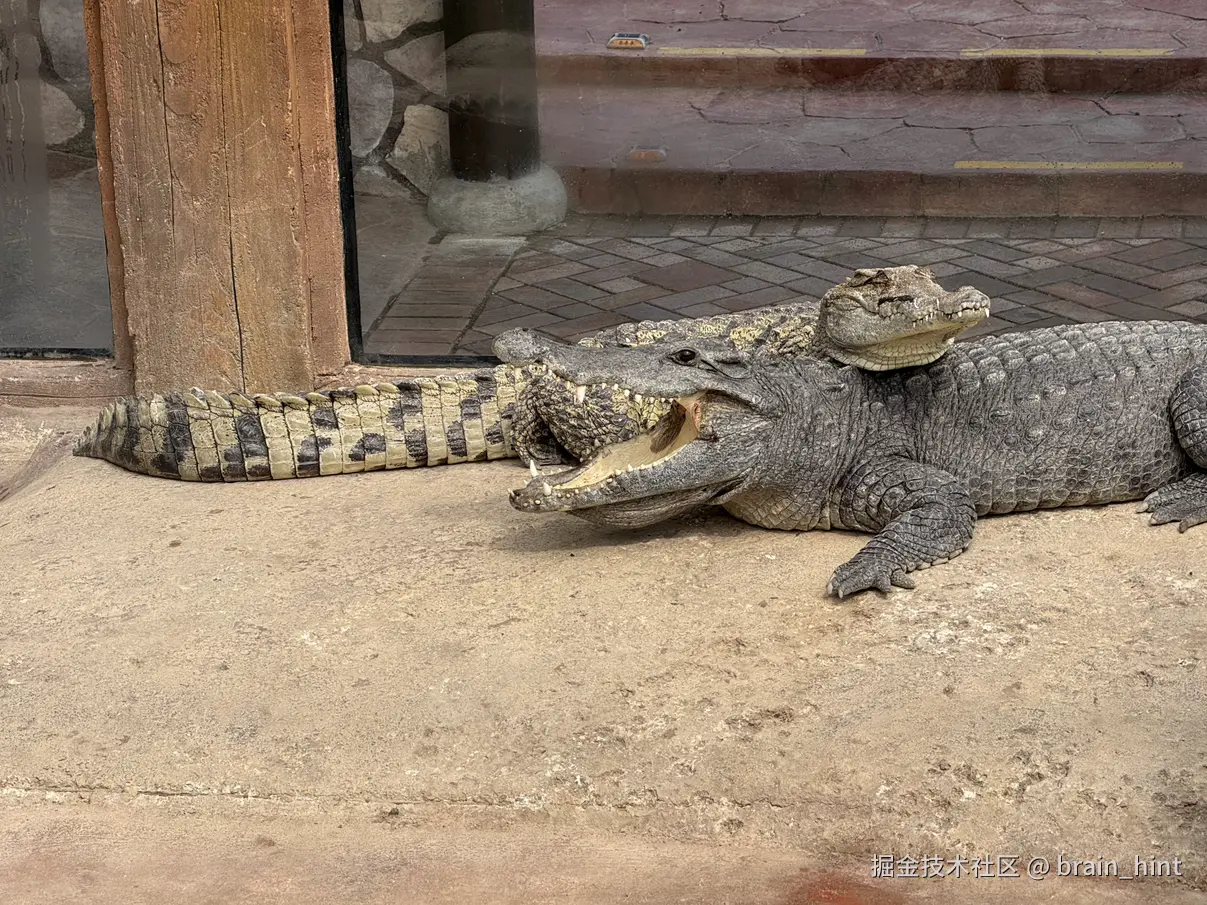 brain_hint于2026-03-18 10:10发布的图片